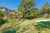 12 Airey Place photo 12