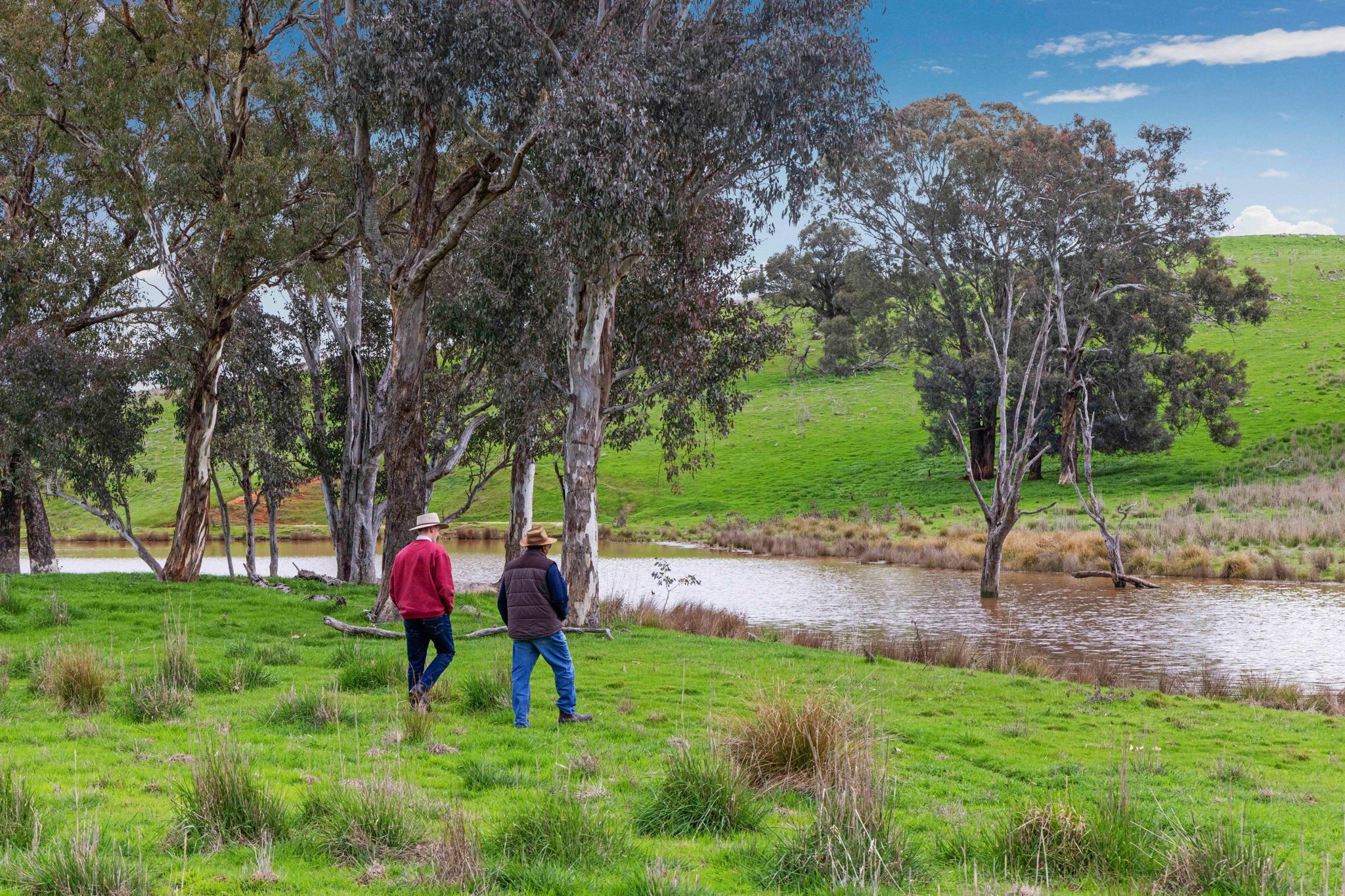 "Reynoldsdale", 1056 Lachlan Valley Way, Boorowa, NSW 2586