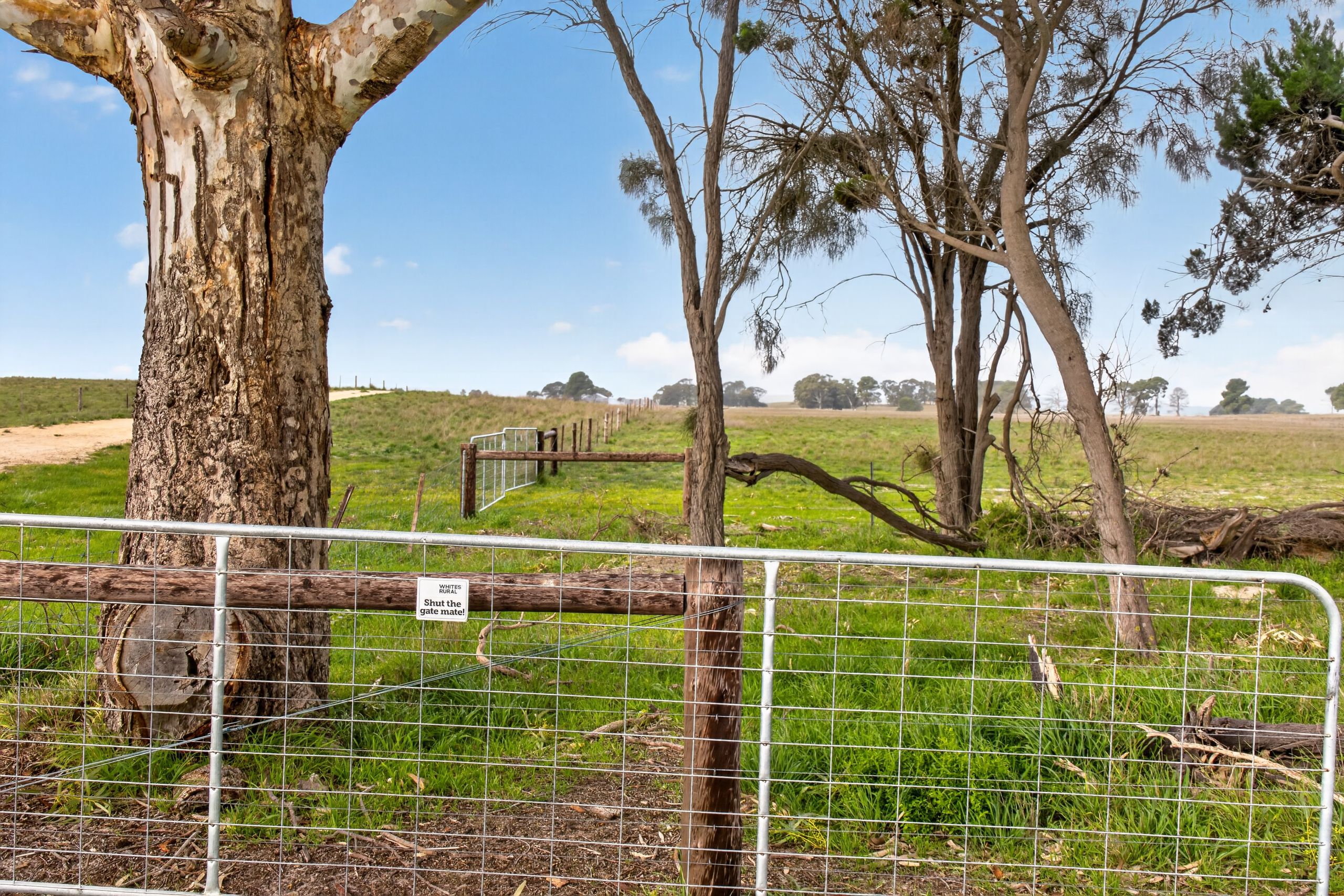 'Folly Farm' Riddell Road — photo 13 of 22