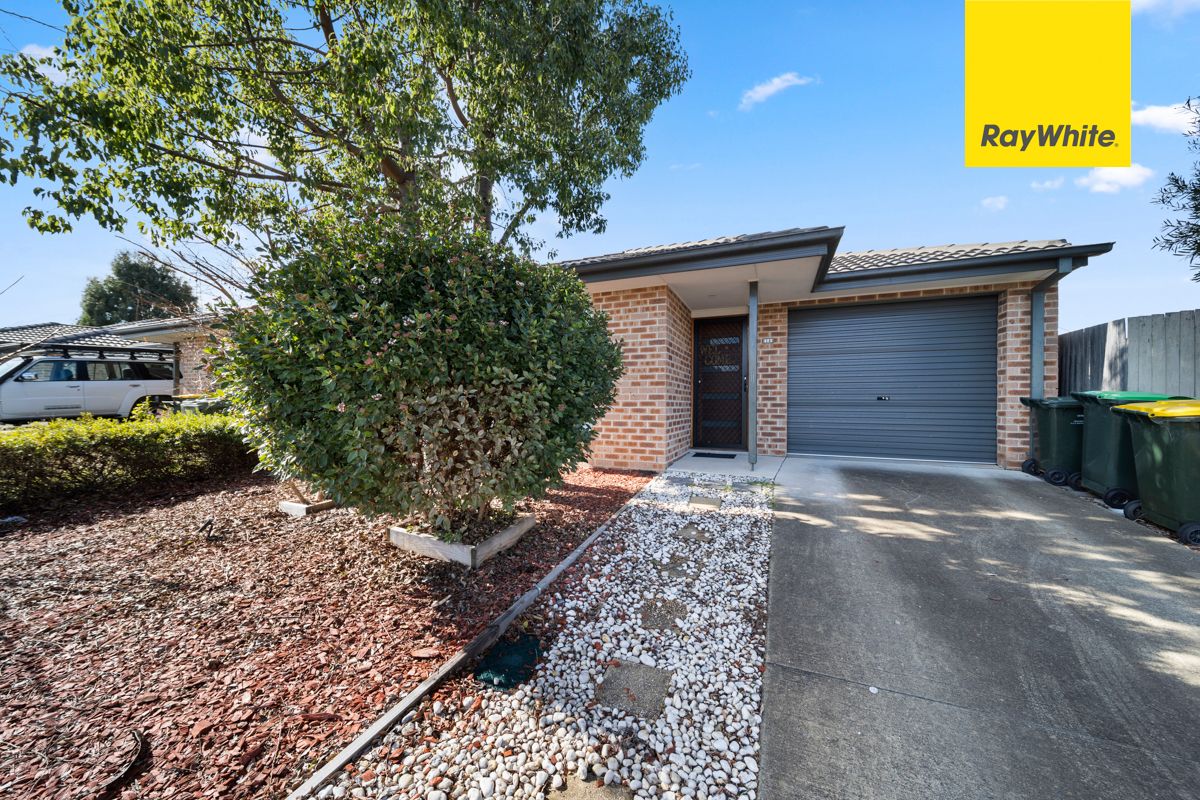14 Dagmar Berne Street, Macgregor, ACT 2615