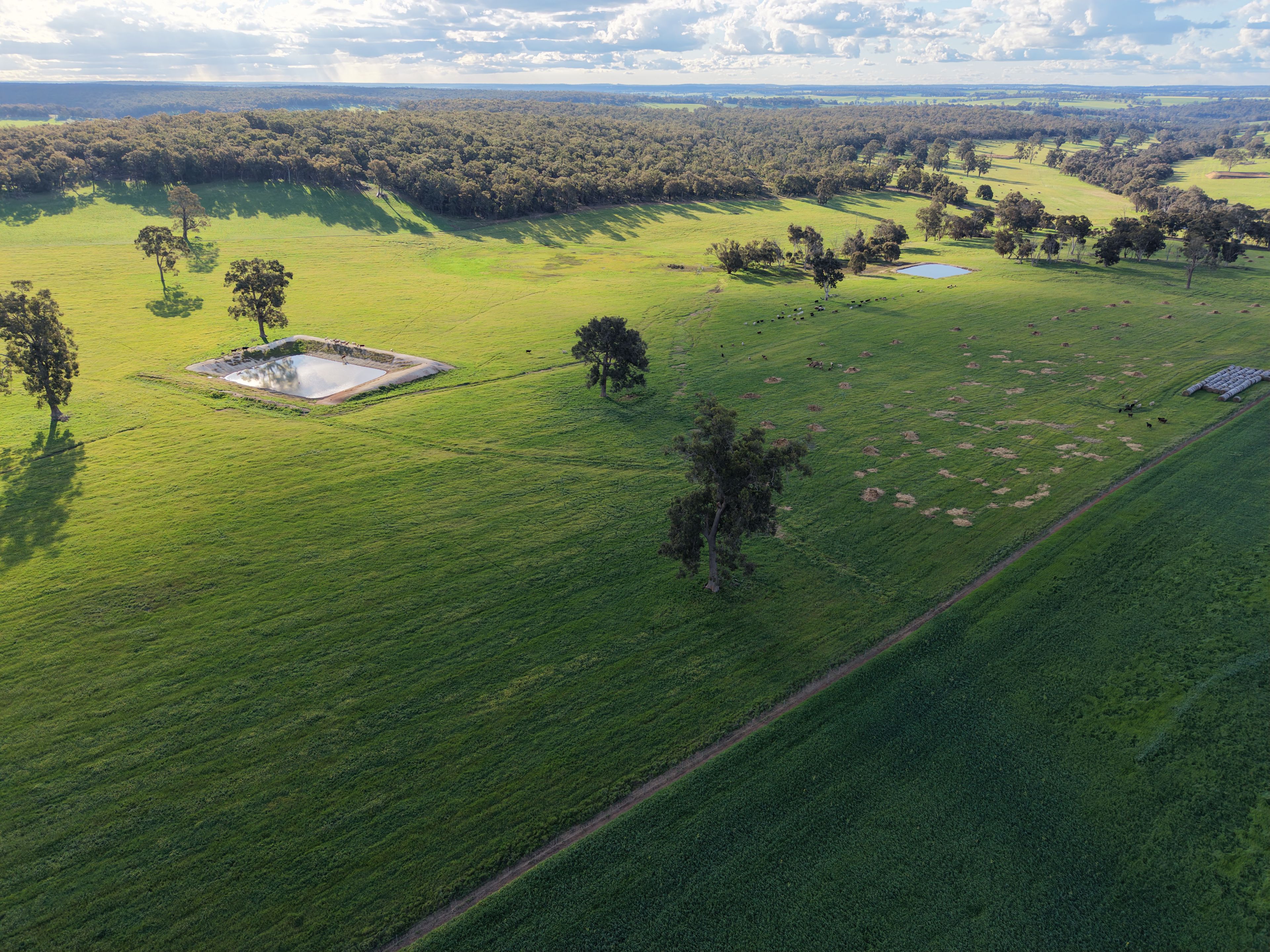 Lot 6694 Scotts Brook Road — photo 5 of 9