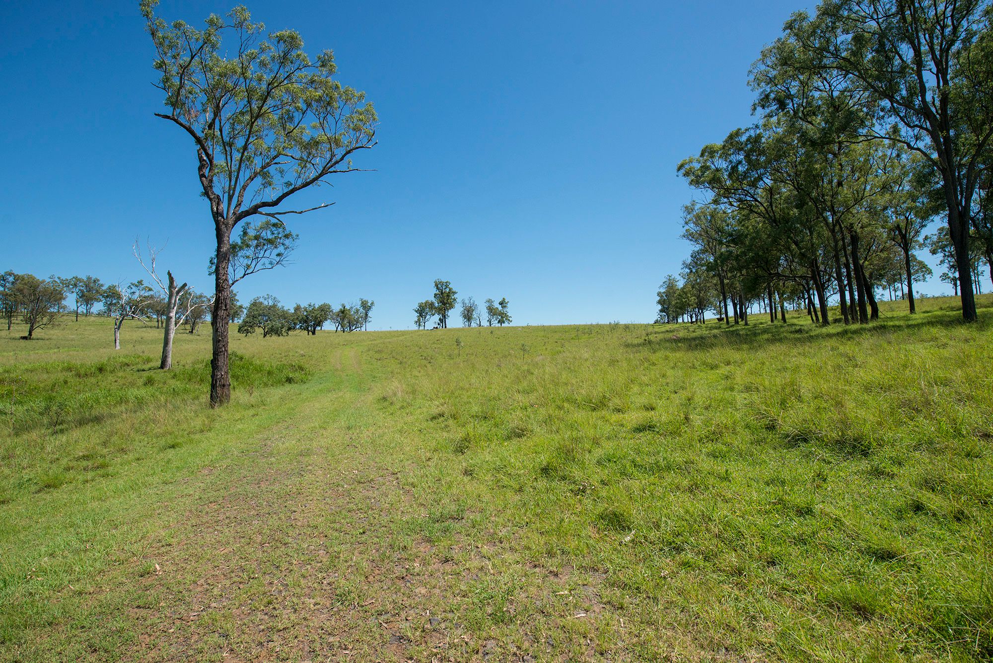 Corner Tralee & Waines Road, MOUNT WALKER WEST, QLD 4340 Land for