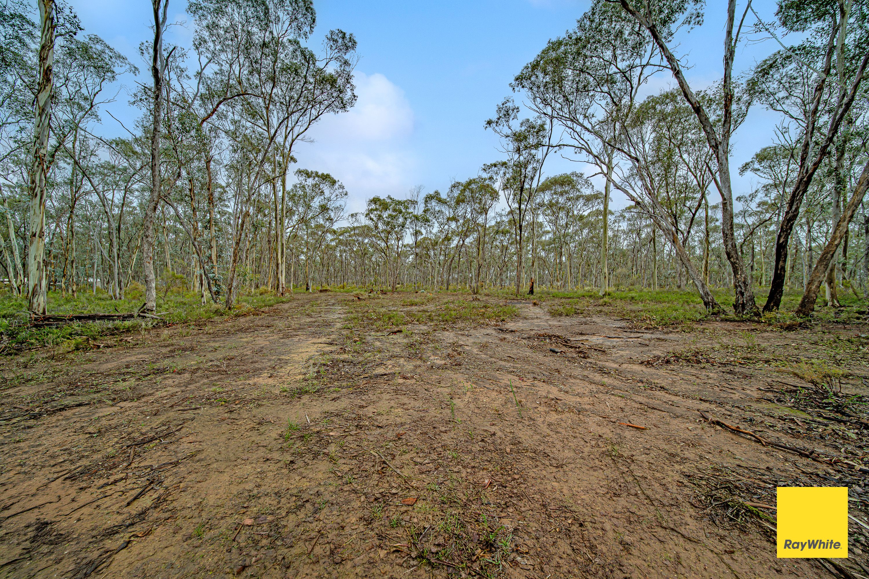50 Melaleuca Avenue — photo 6 of 9