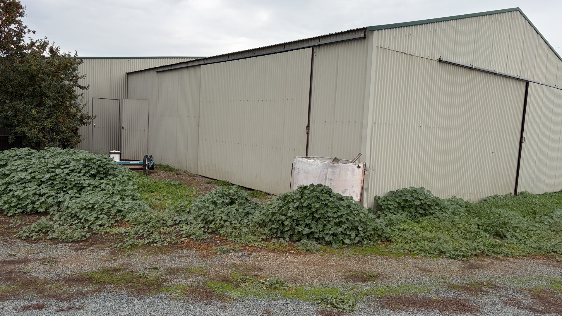 1140 Pogue Road — photo 13 of 17