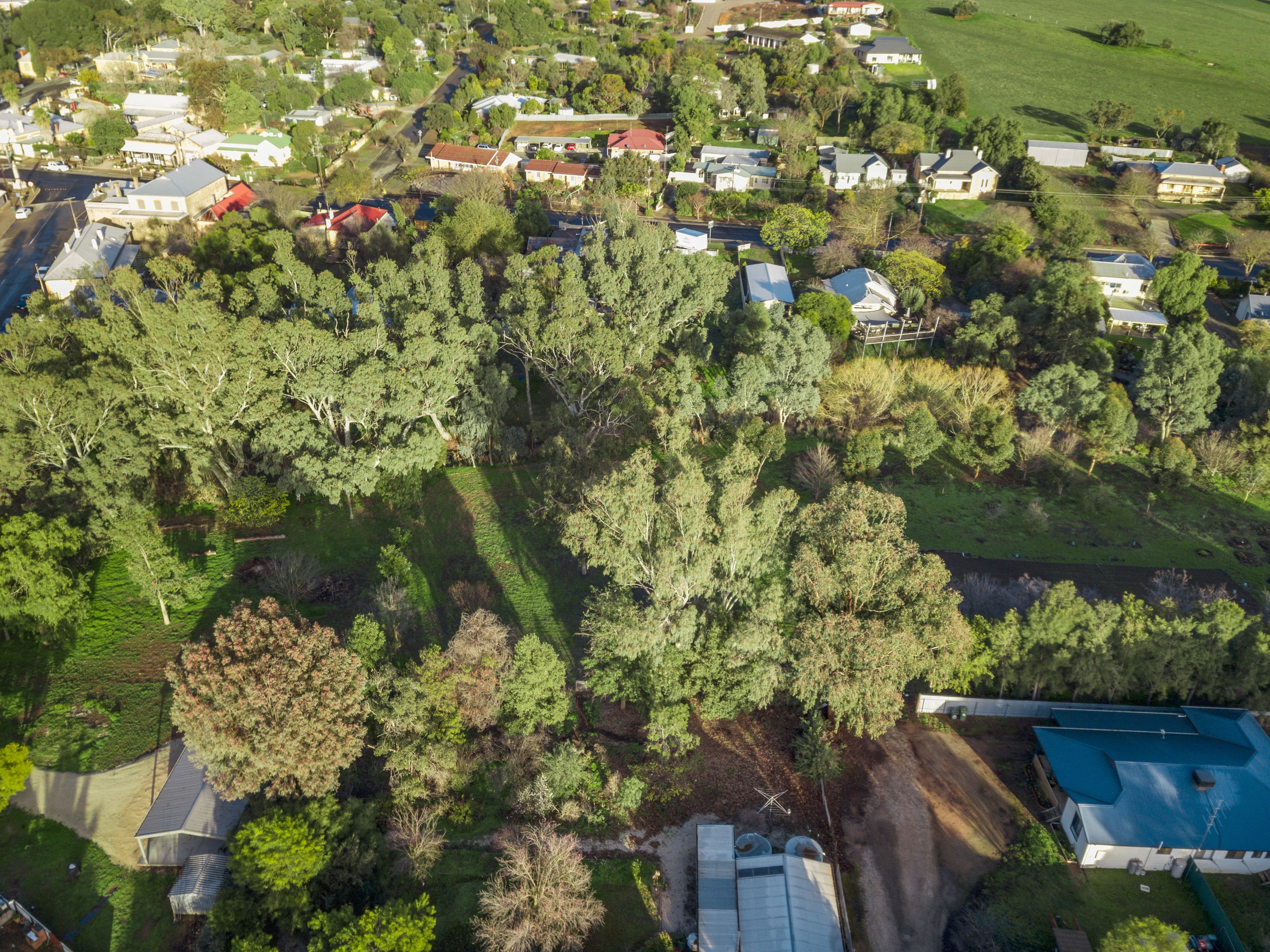 Lot 100 Arthur Street, Auburn, SA 5451