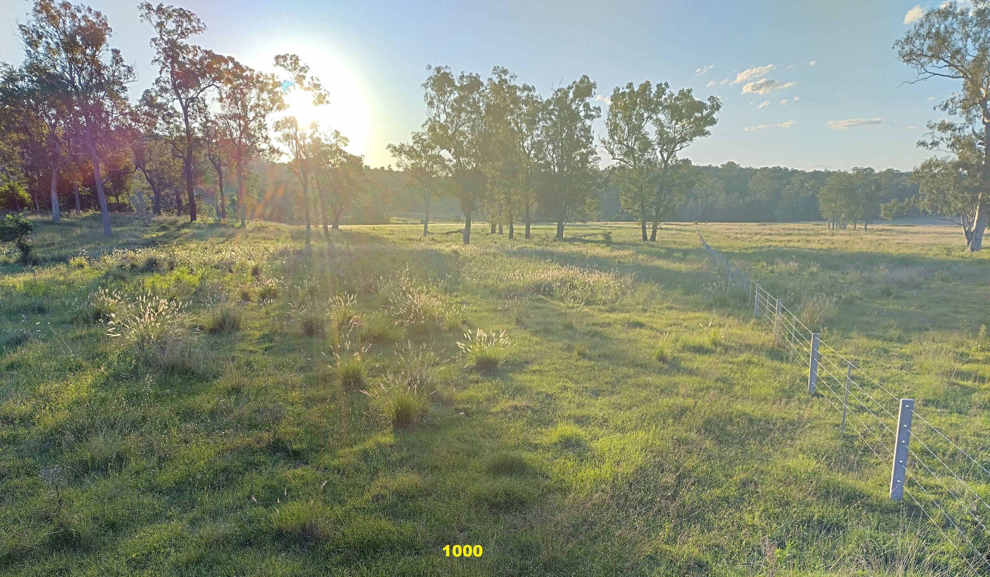 1106 Naughtons Gap Road — photo 19 of 27