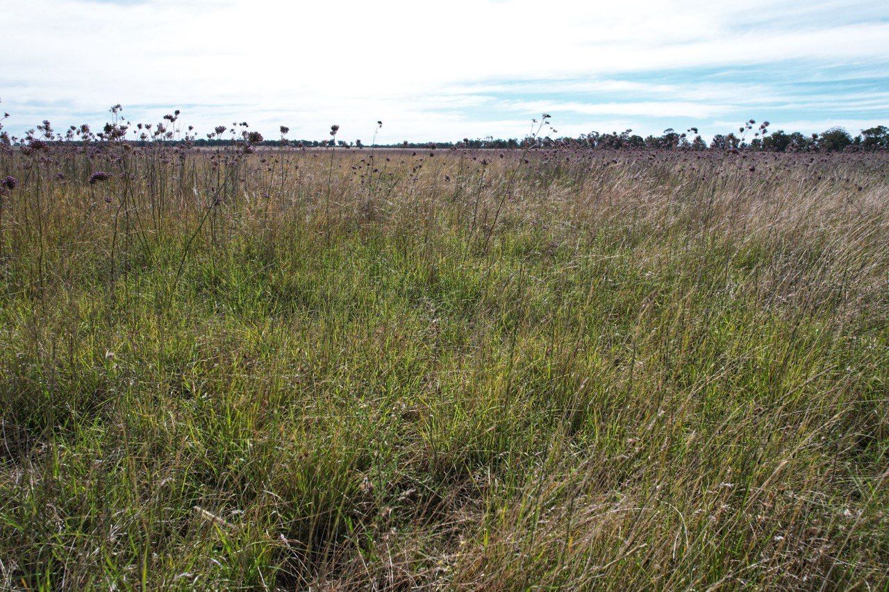 'Glen Ferrie' 179 Yambora Road, Tullamore, NSW 2874