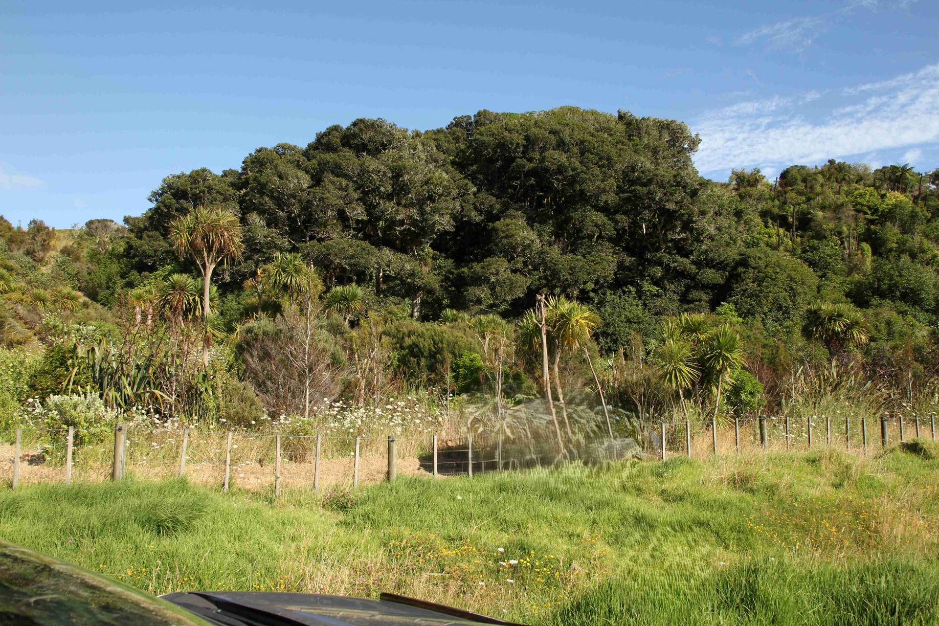 Lot 1 State Highway 10 photo 13