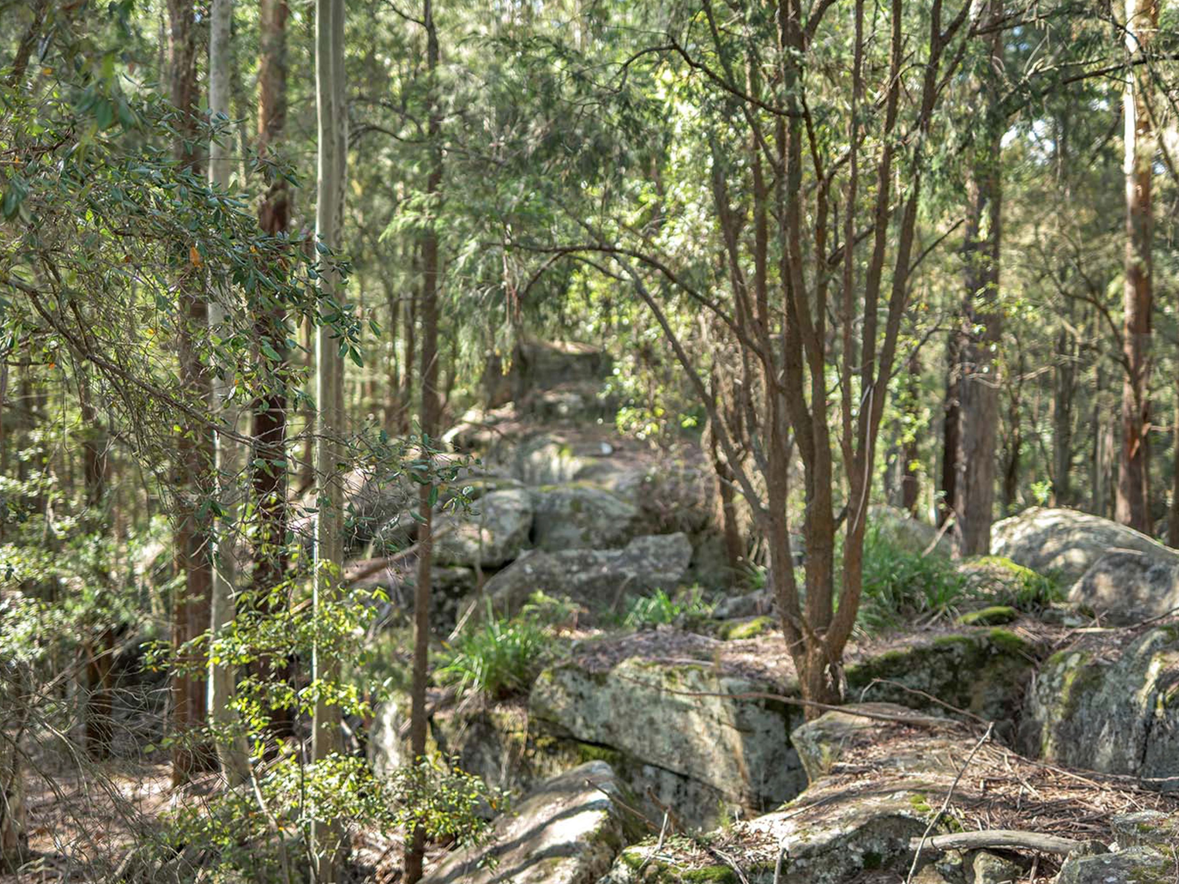 497 Toepfers Road, Wyee, NSW 2259 Rural Cropping Property for Sale