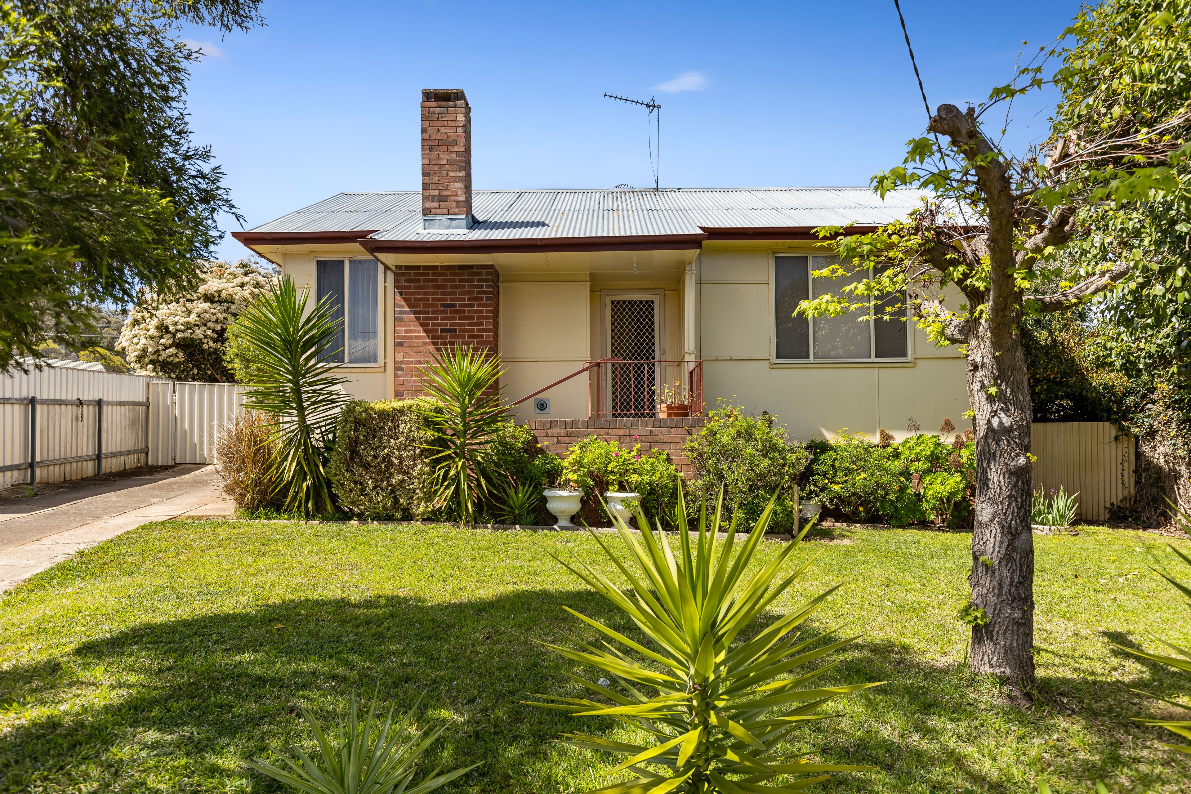 49 Phillip Avenue, Mount Austin NSW 2650