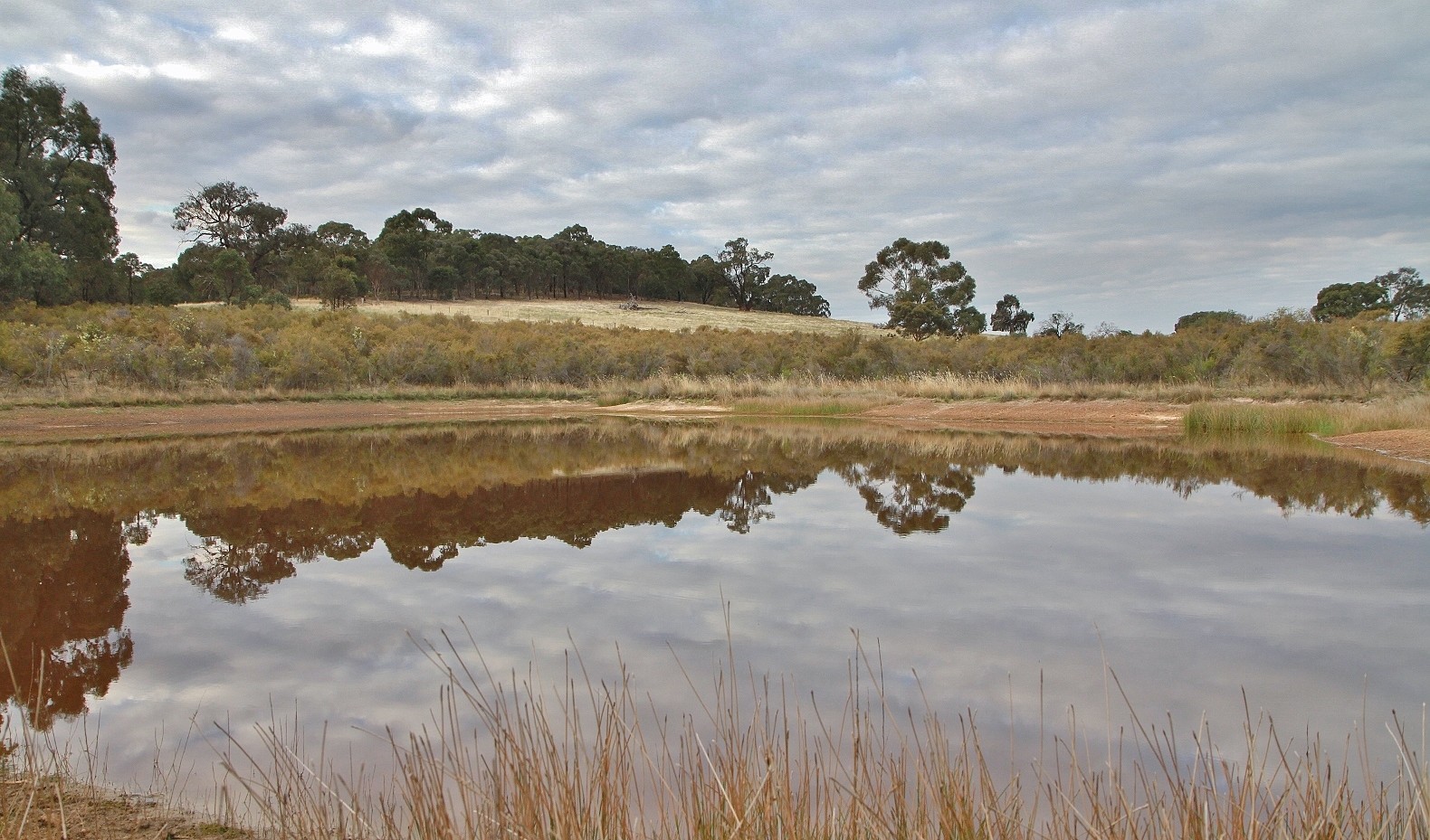 Lot 8 Davis Road, Heathcote, VIC 3523