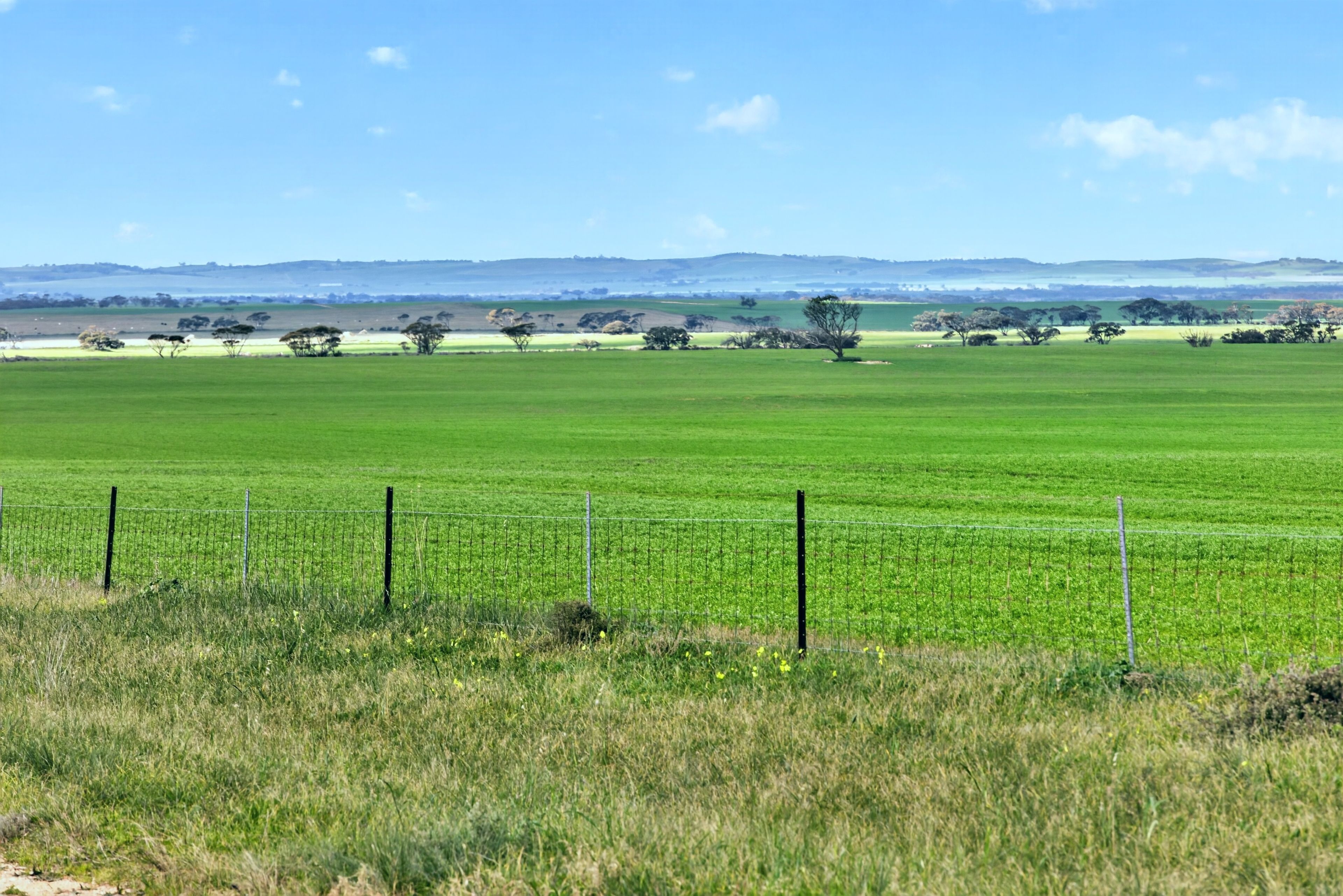 'Gleeson's Corner' Gleeson Road — photo 17 of 25