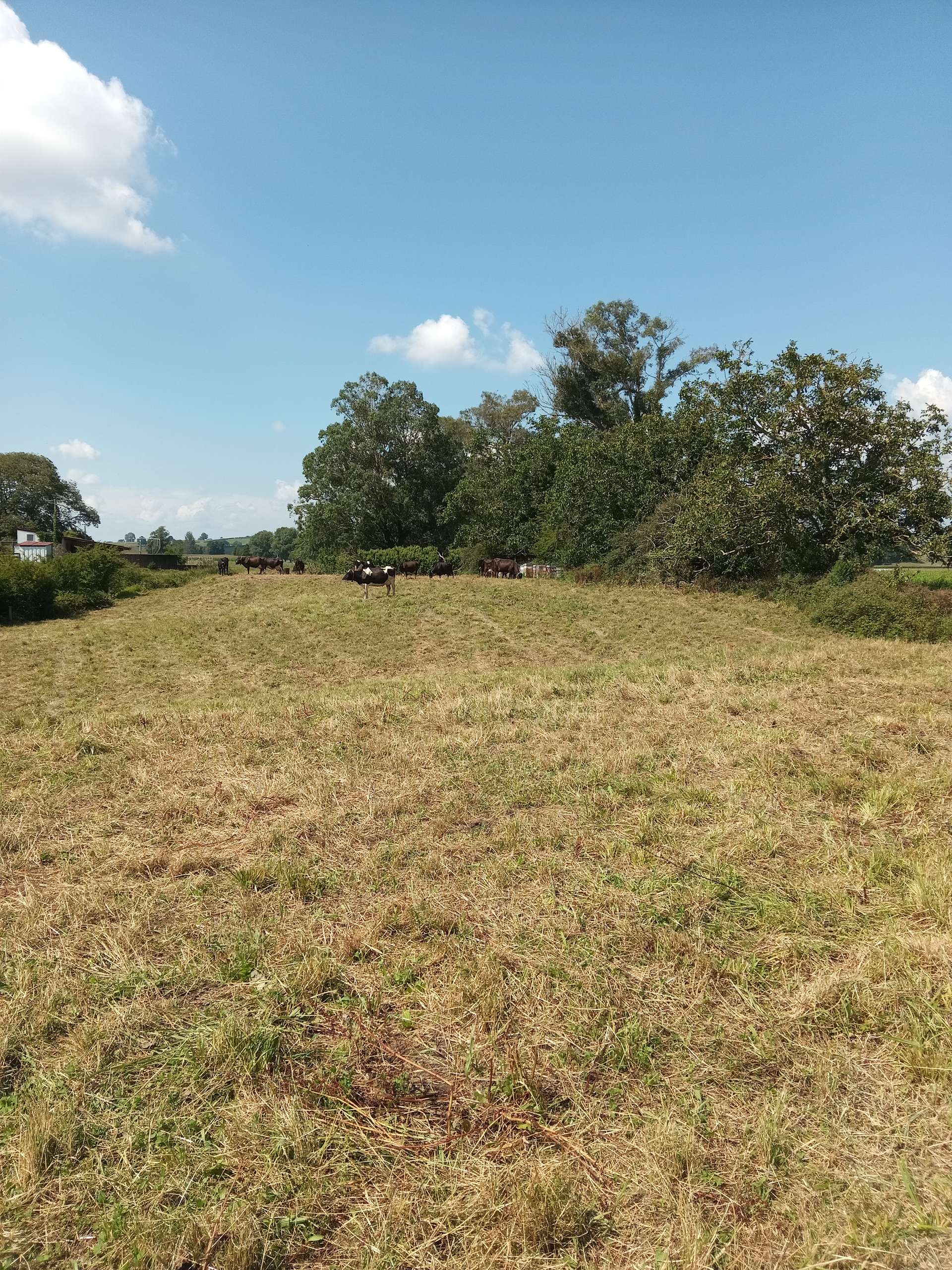 680 Frontier Road photo 18