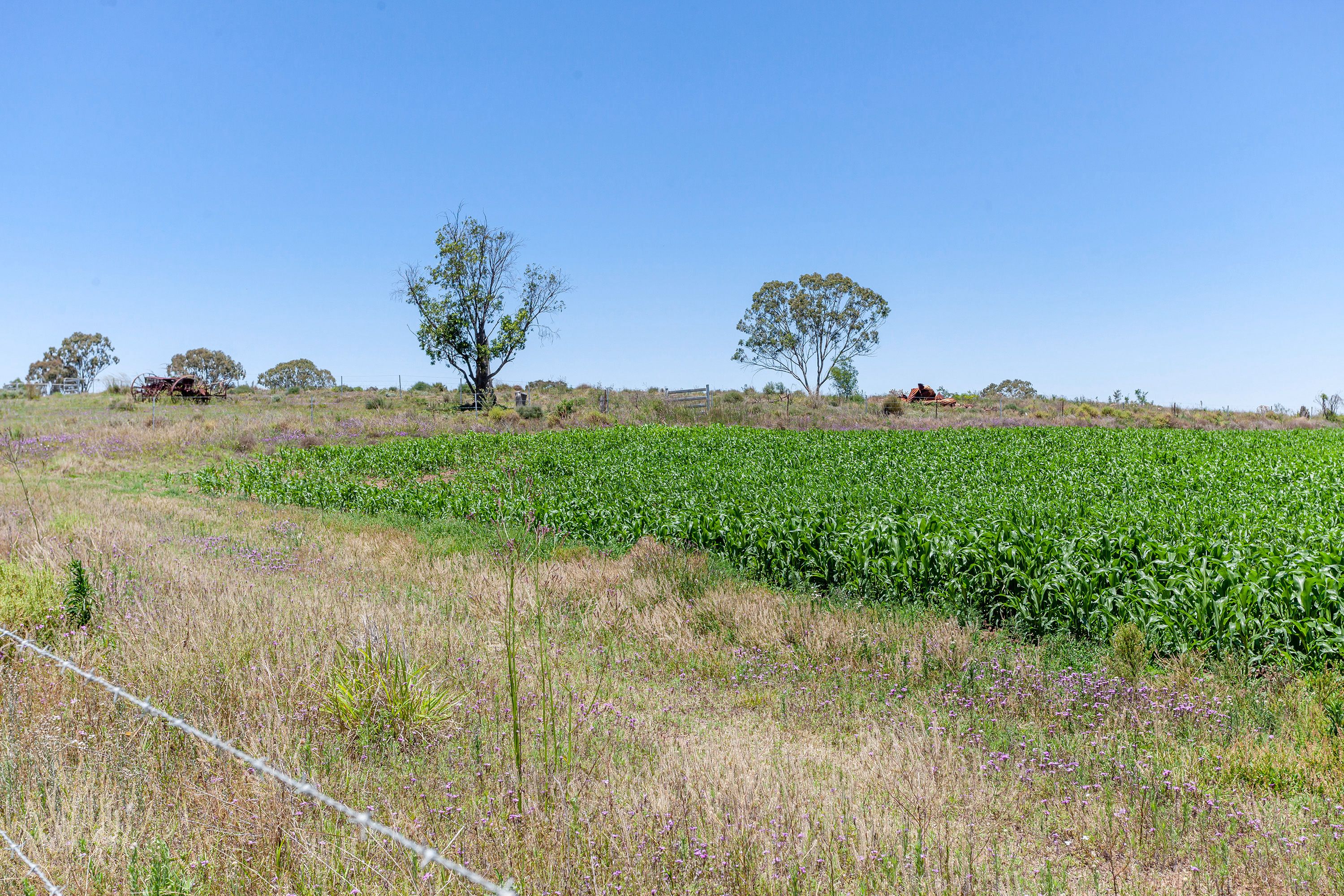 "The Cottage Block" Lot 145 Quinalow Peranga Road, Peranga, QLD 4352