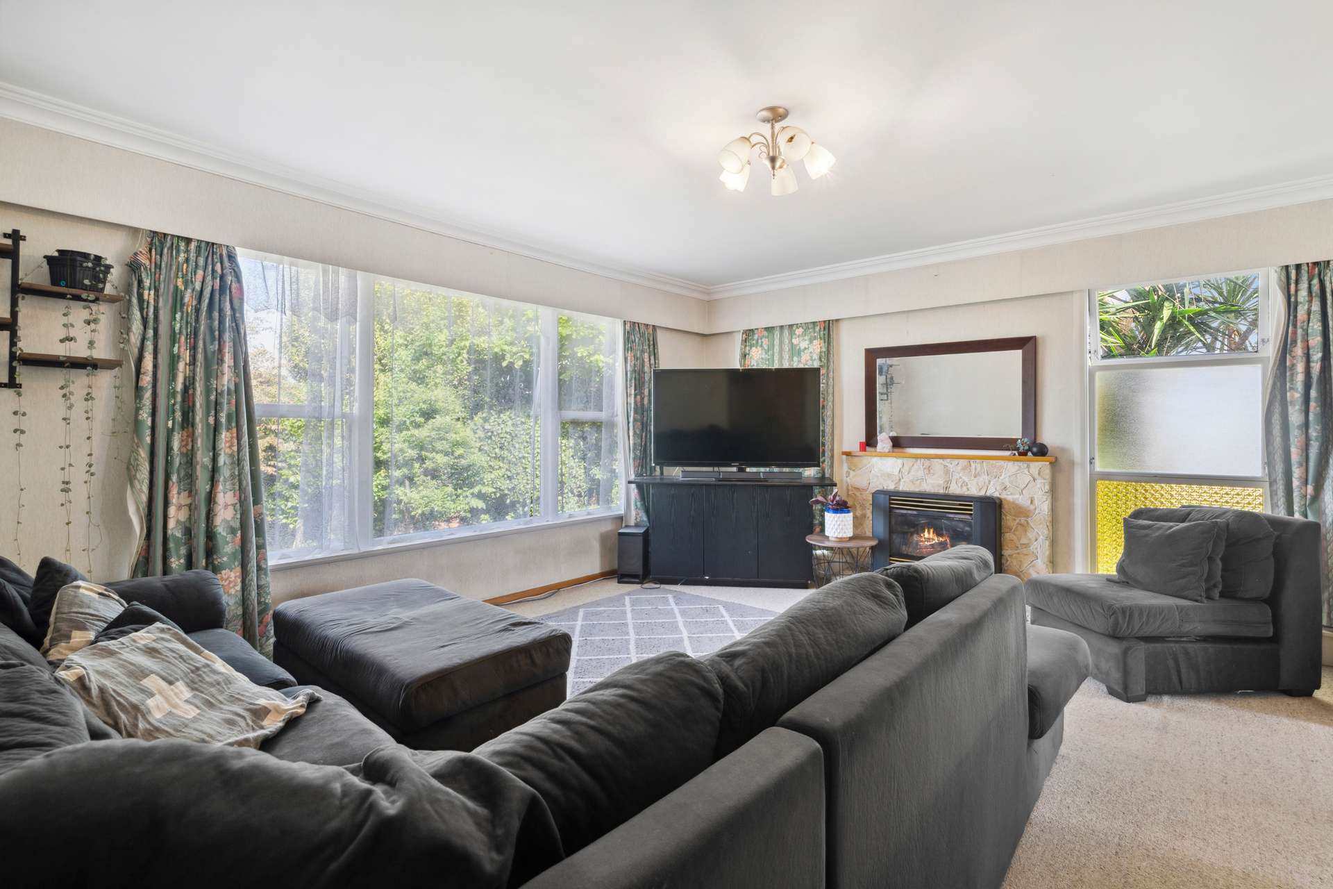 56 Featherston Street photo 5