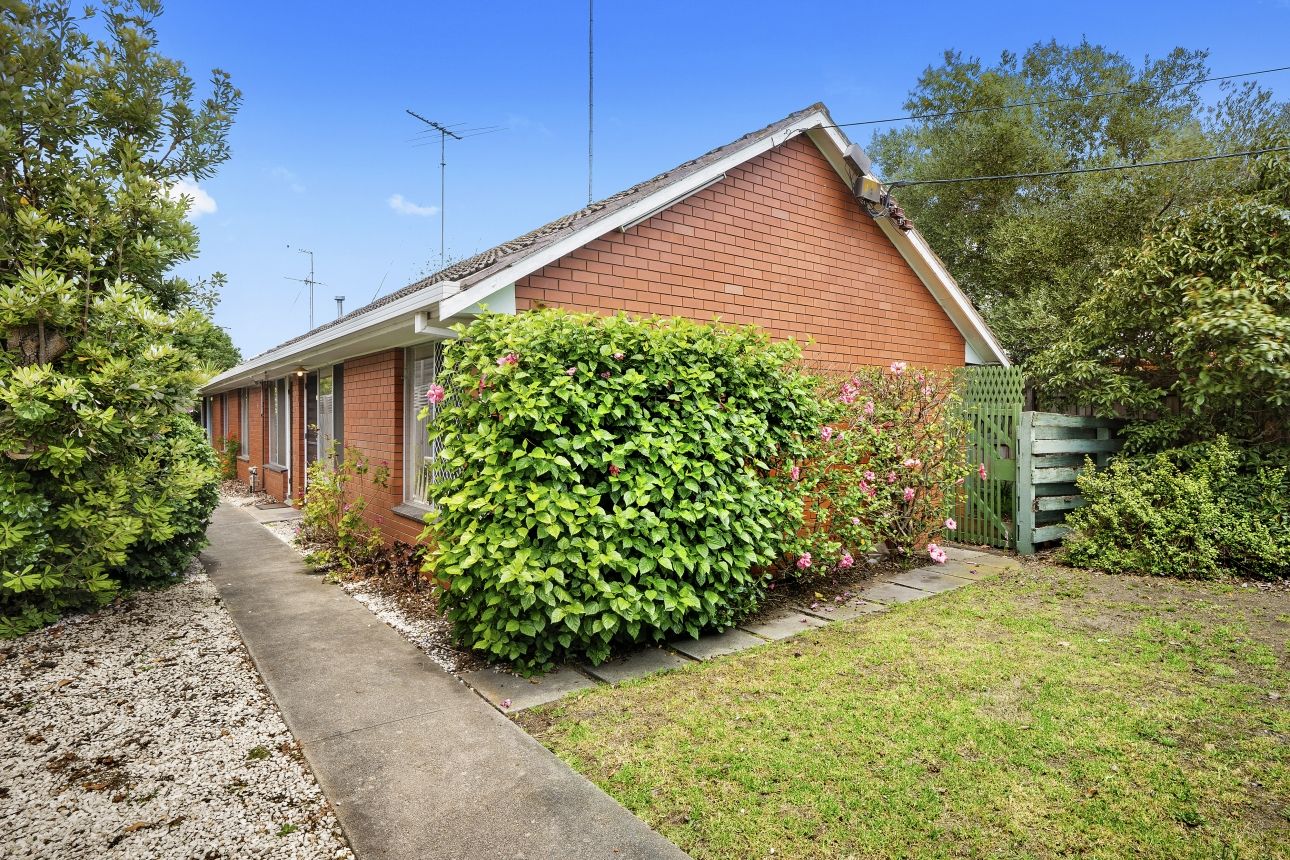 20 Regent Street, Whittington VIC 3219