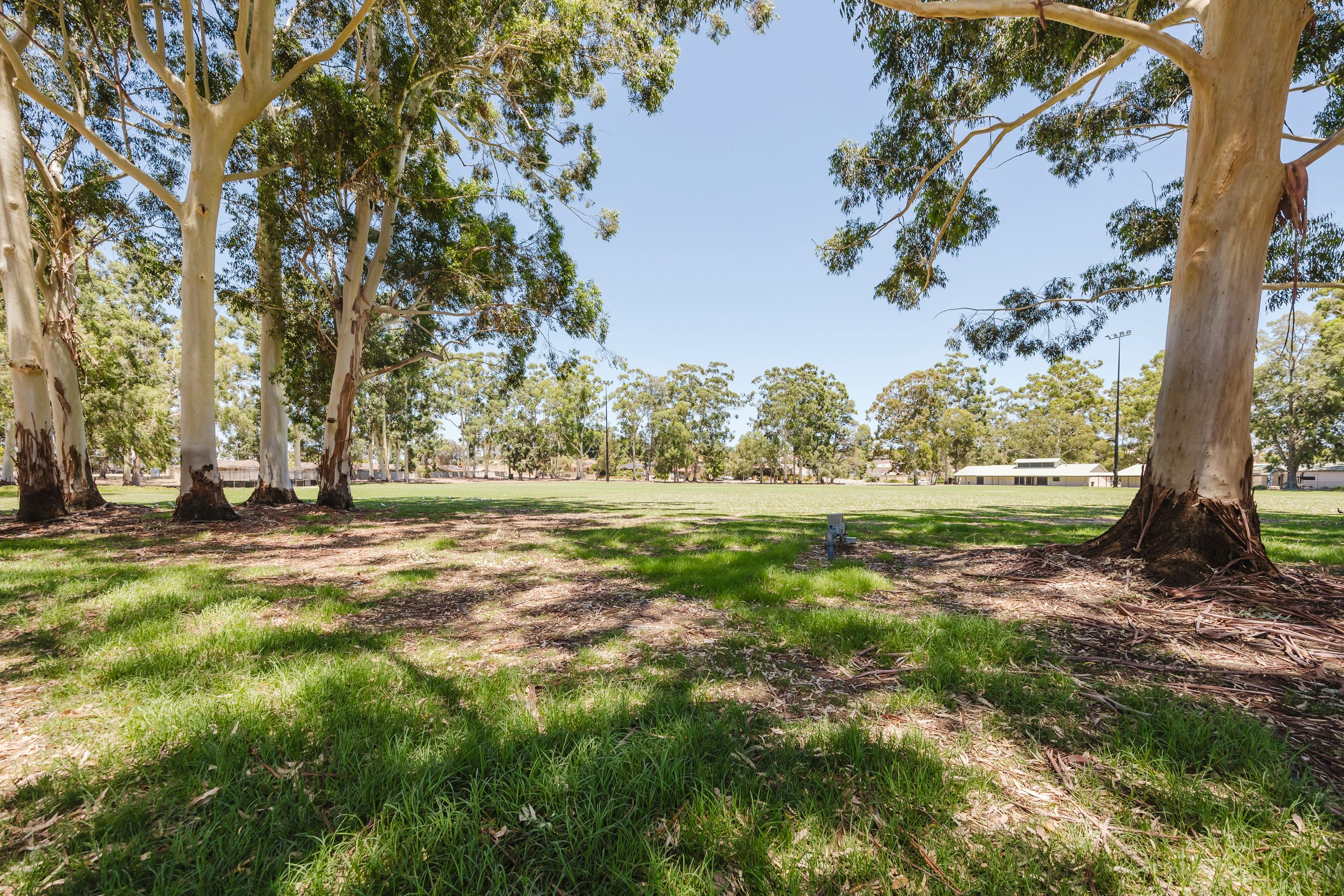 21 Dellwood Lane, Ballajura, WA 6066