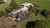 493 Driver Road photo 1