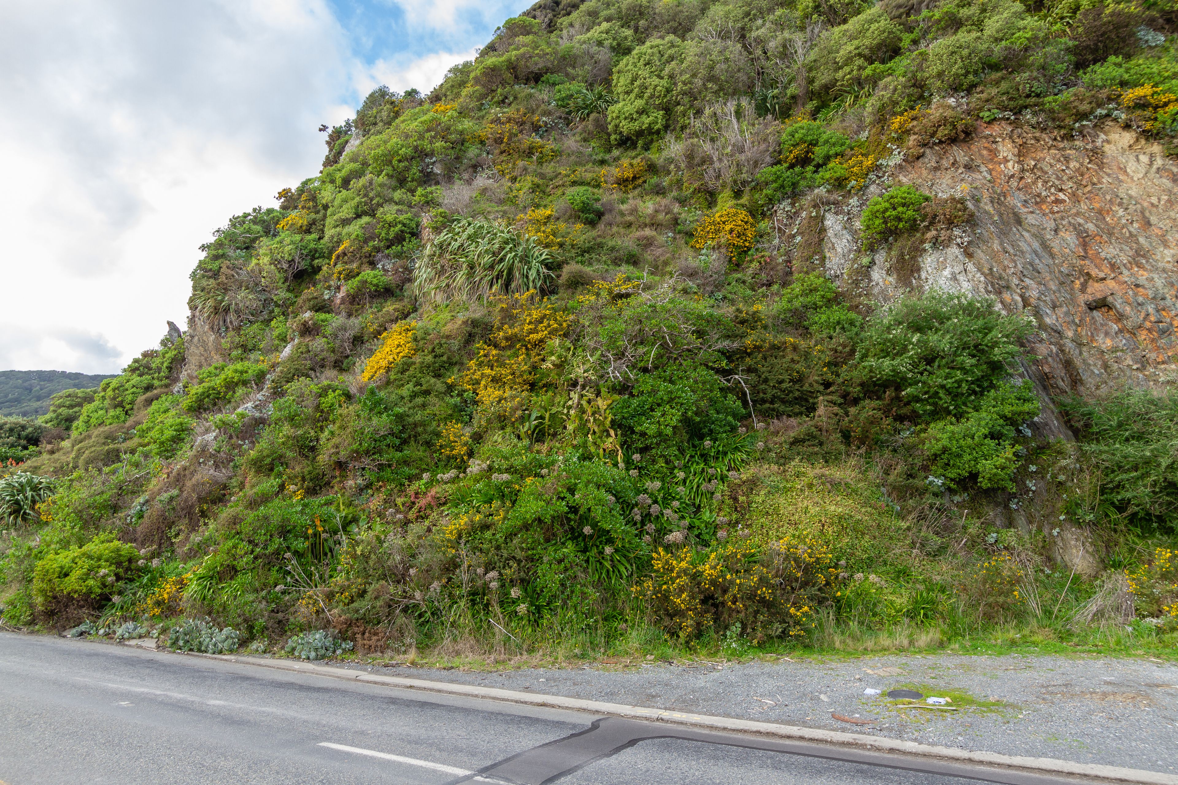 459a Muritai Road, Eastbourne, Lower Hutt City