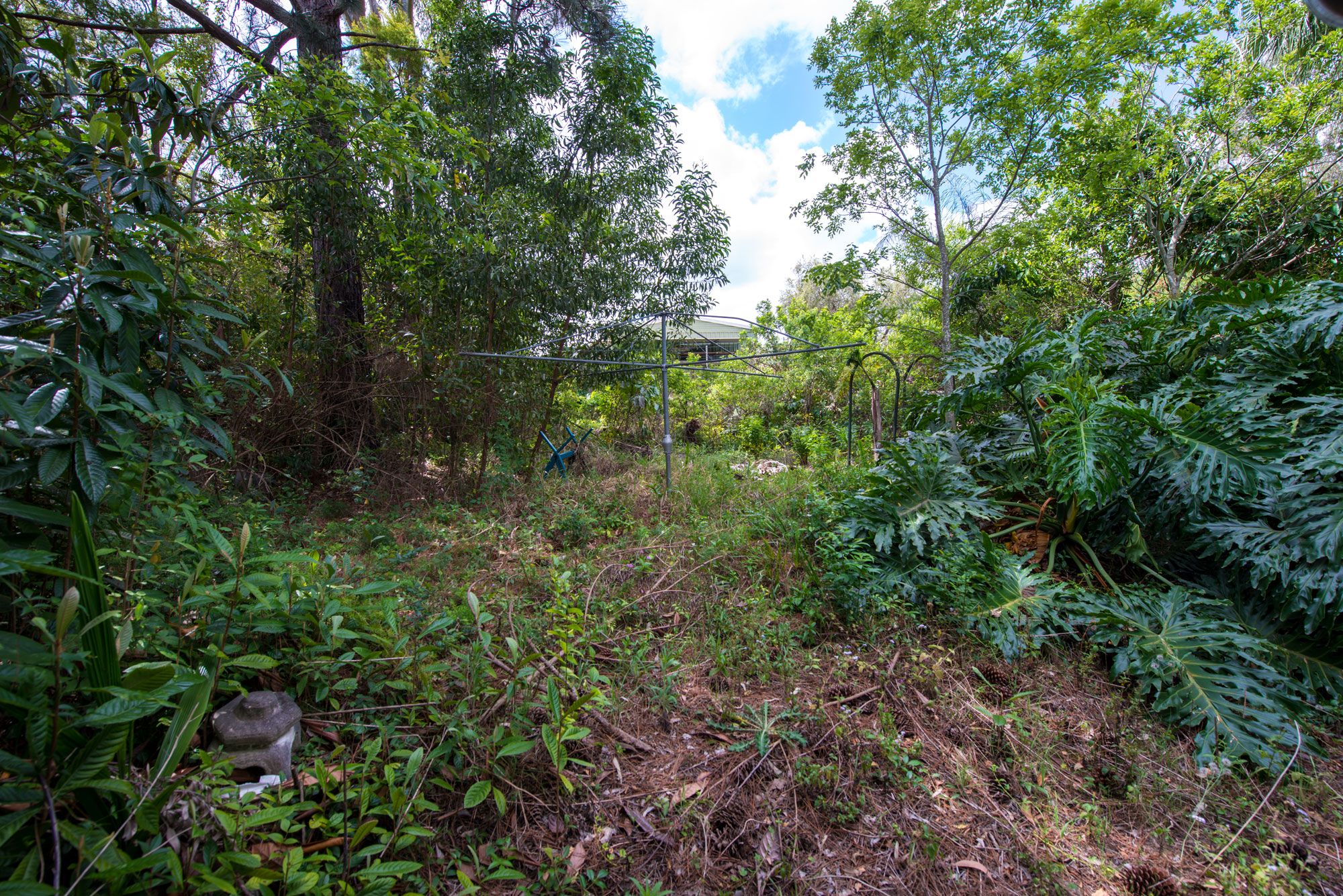 41 Wooraka Street, Rochedale South, QLD 4123