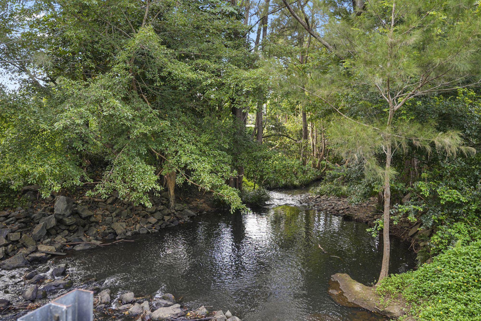 27 Mark Way, Mudgeeraba, QLD 4213