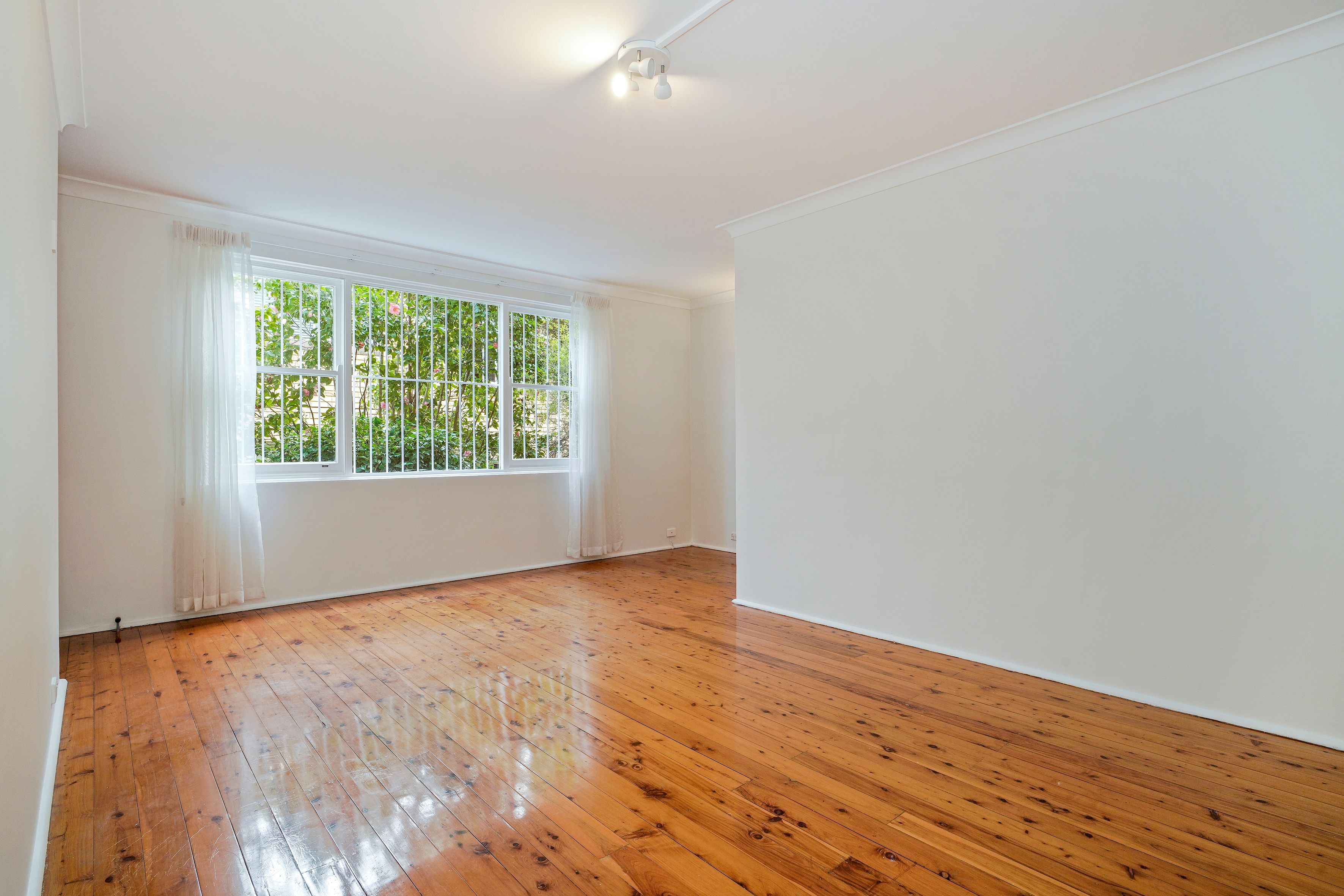 3/22 Palace Street, Ashfield, NSW 2131
