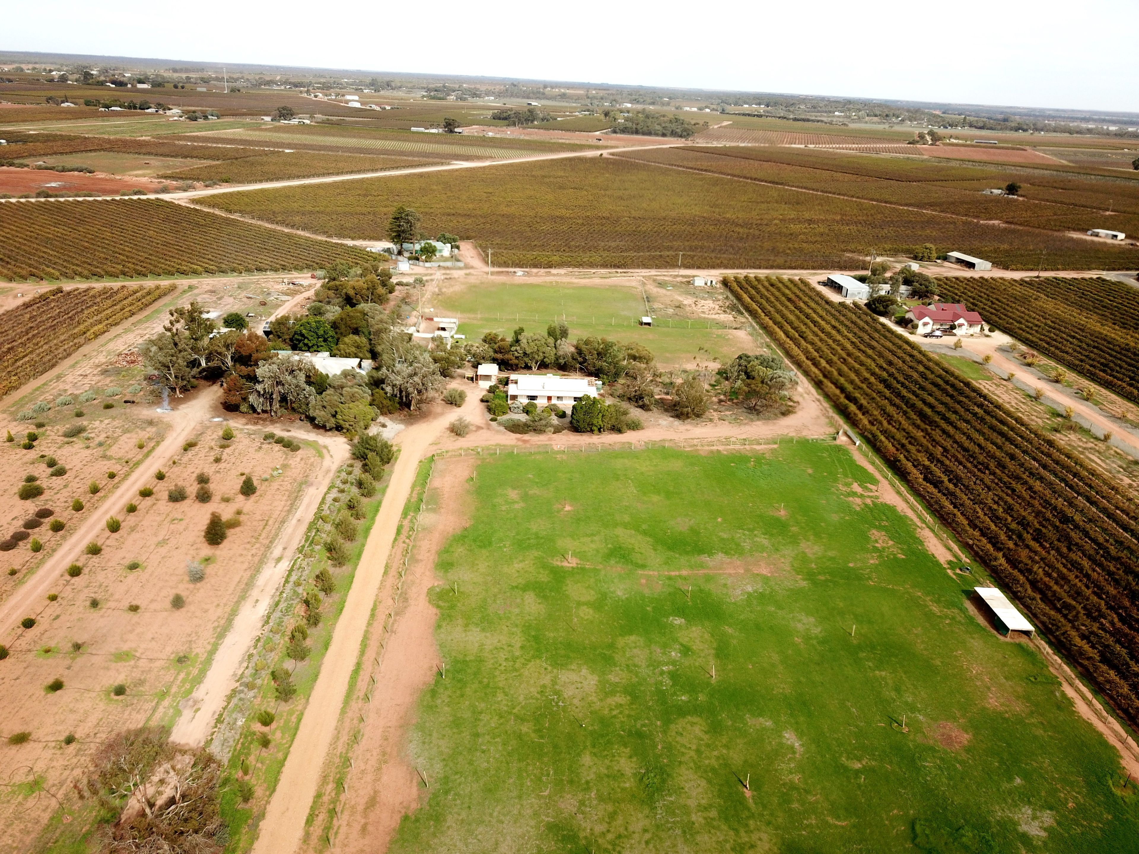 267 Gaskell Road, Barmera, SA 5345