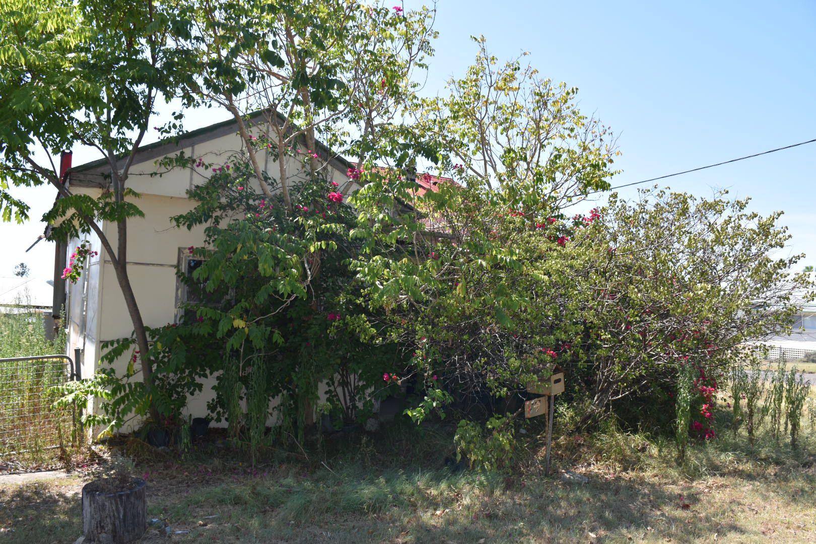 37 Moon Street, Wingham, NSW 2429