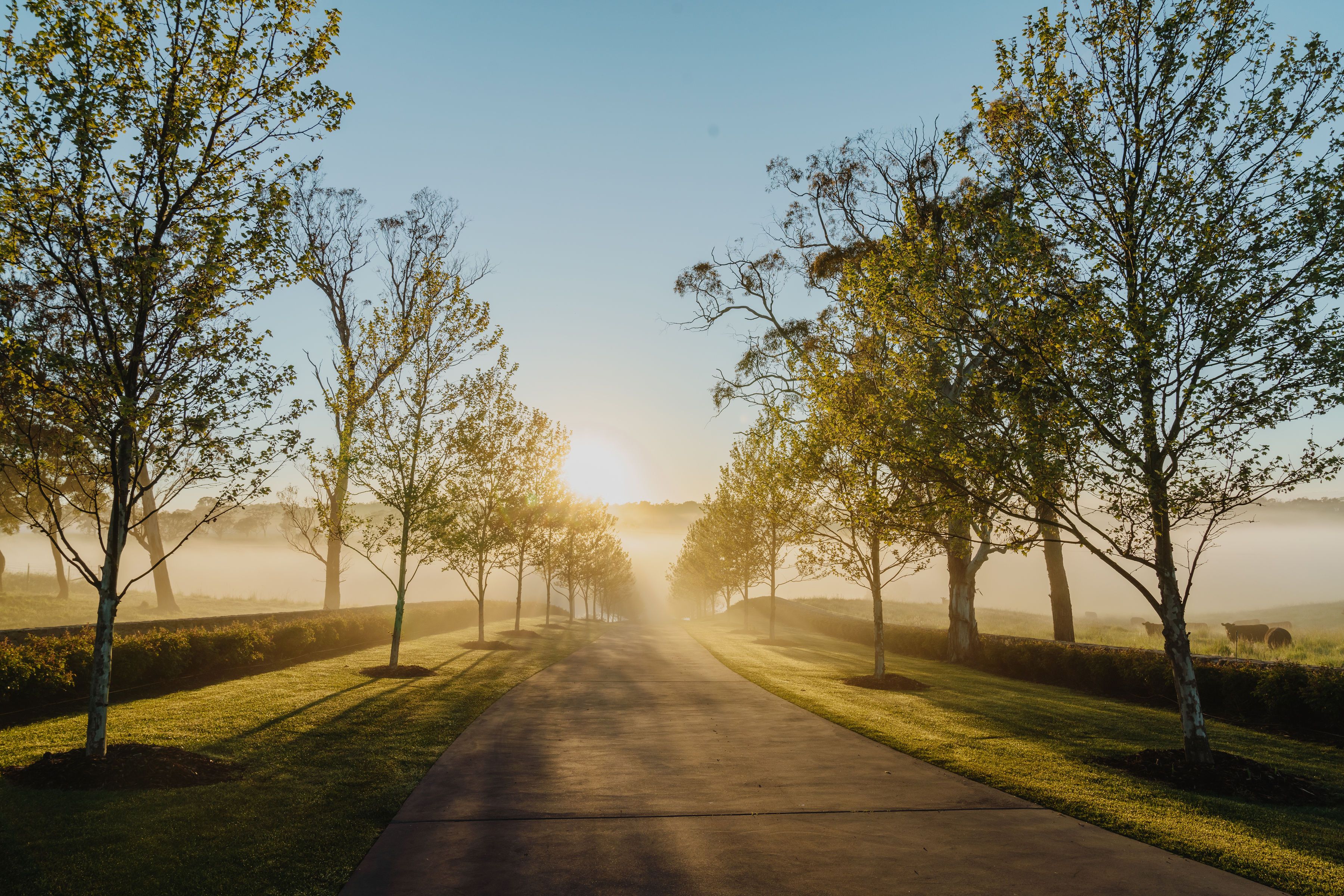 1121 Rhyanna Road, Goulburn, NSW 2580