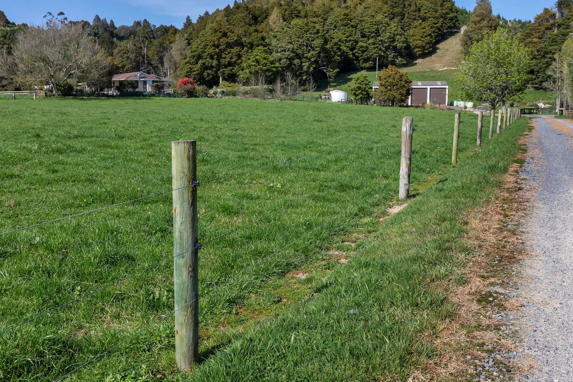 289 Hukerenui Road photo 7