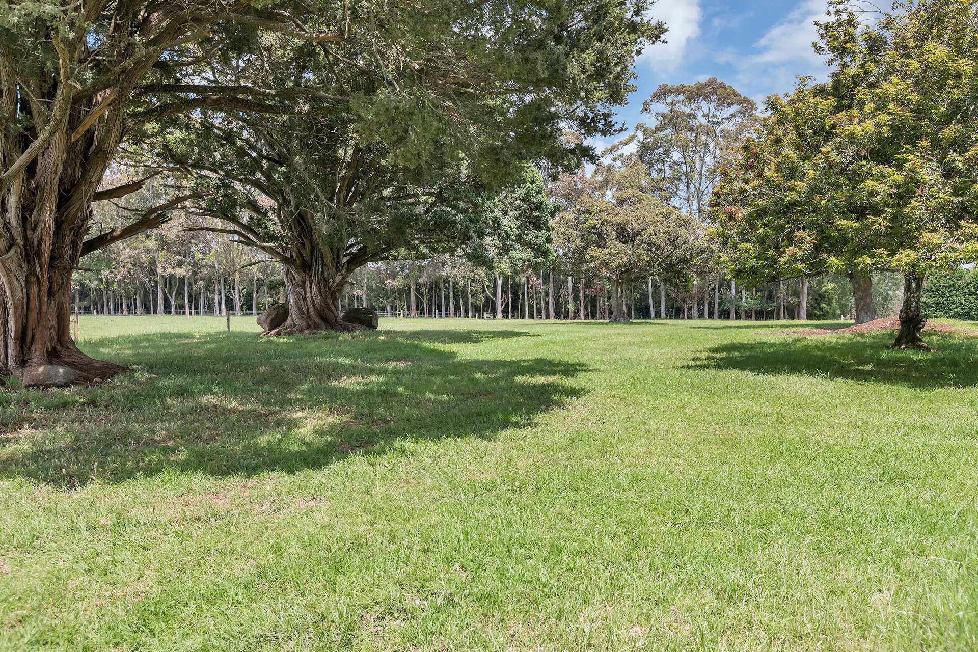 738 Mangakahia Road photo 7