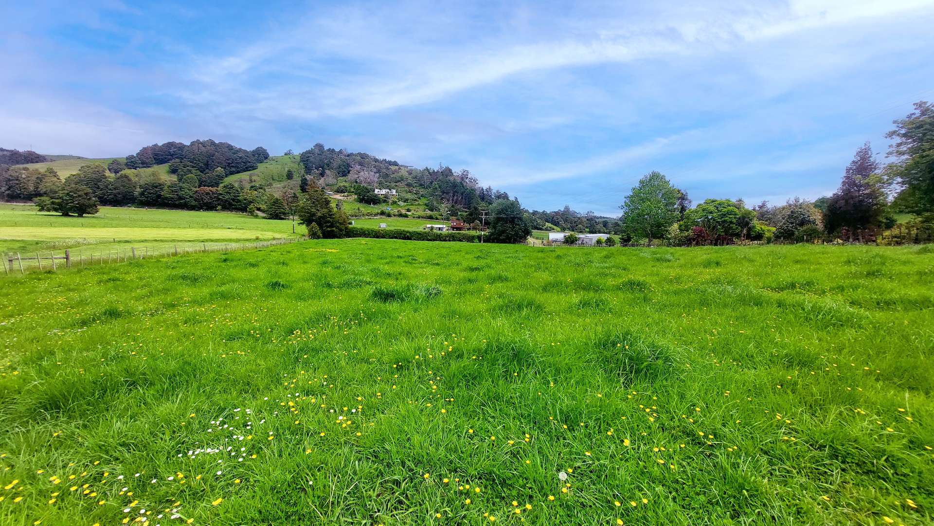 1366 Hukerenui Road photo 31