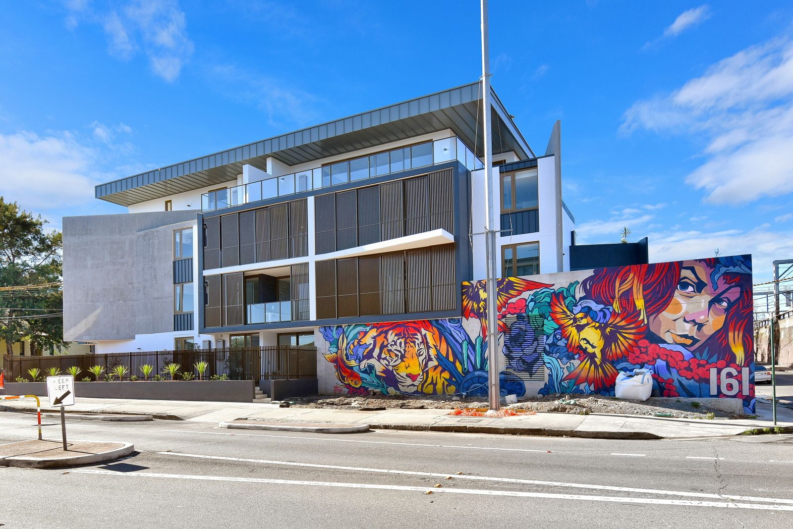 161-163 Bedford Street, Newtown NSW 2042