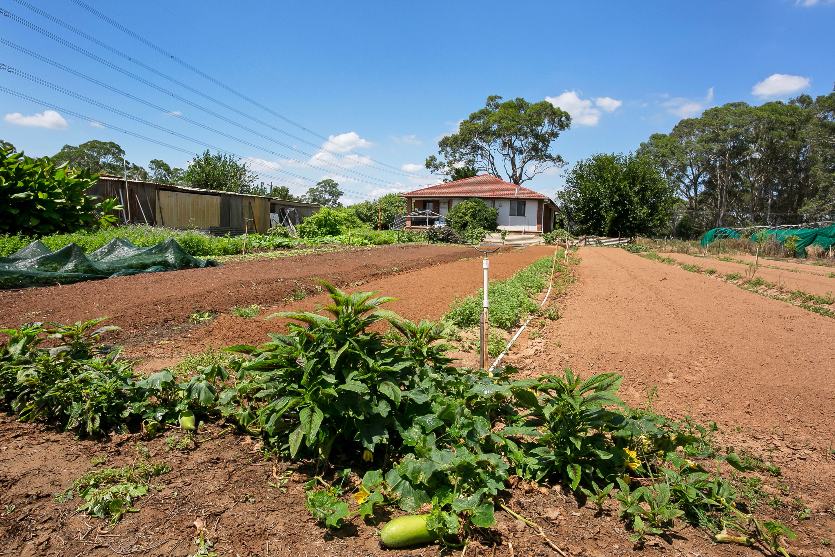 150 Sixth Avenue, Llandilo, NSW