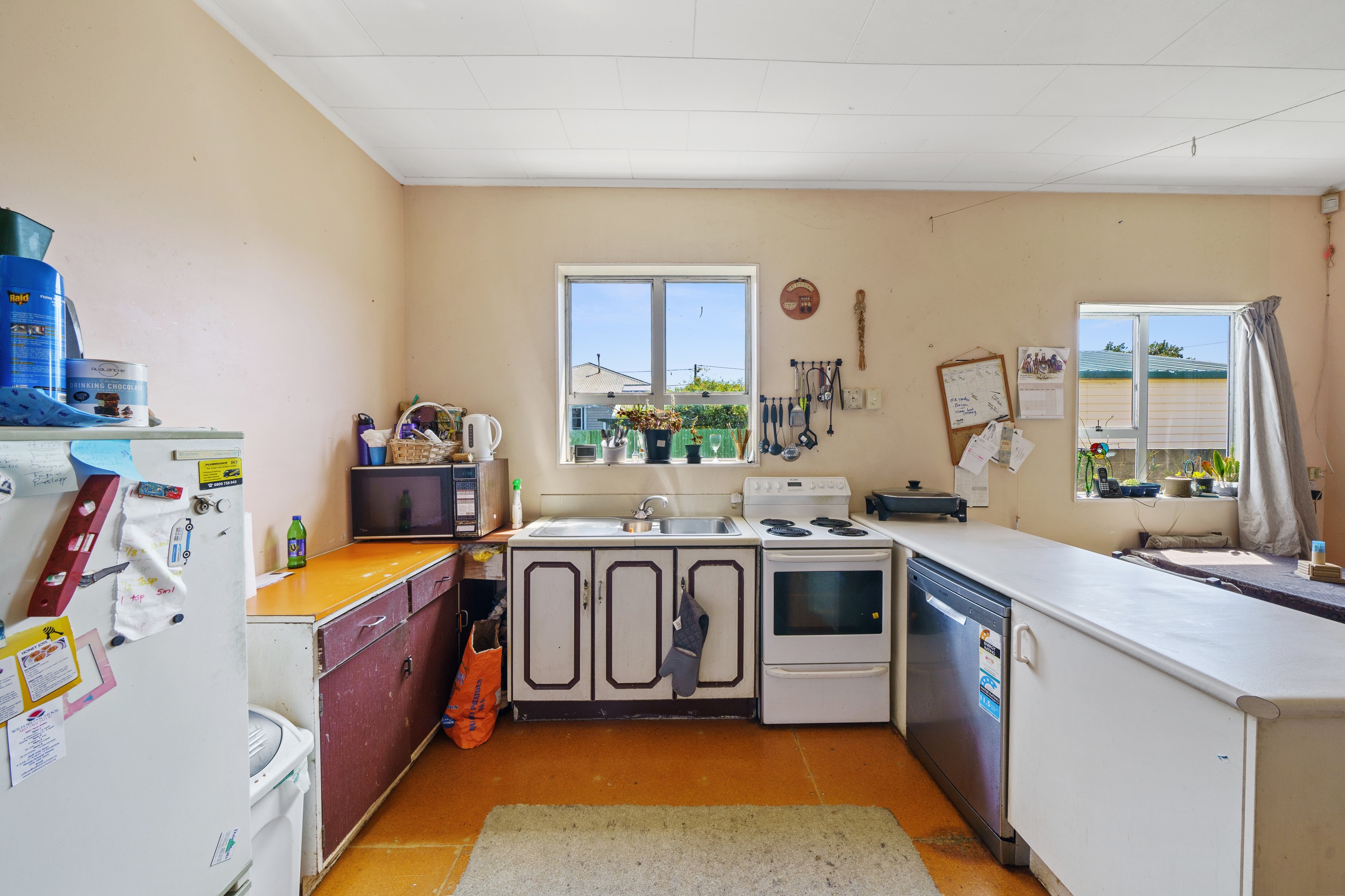 17 Collins Street, Petone, Lower Hutt City