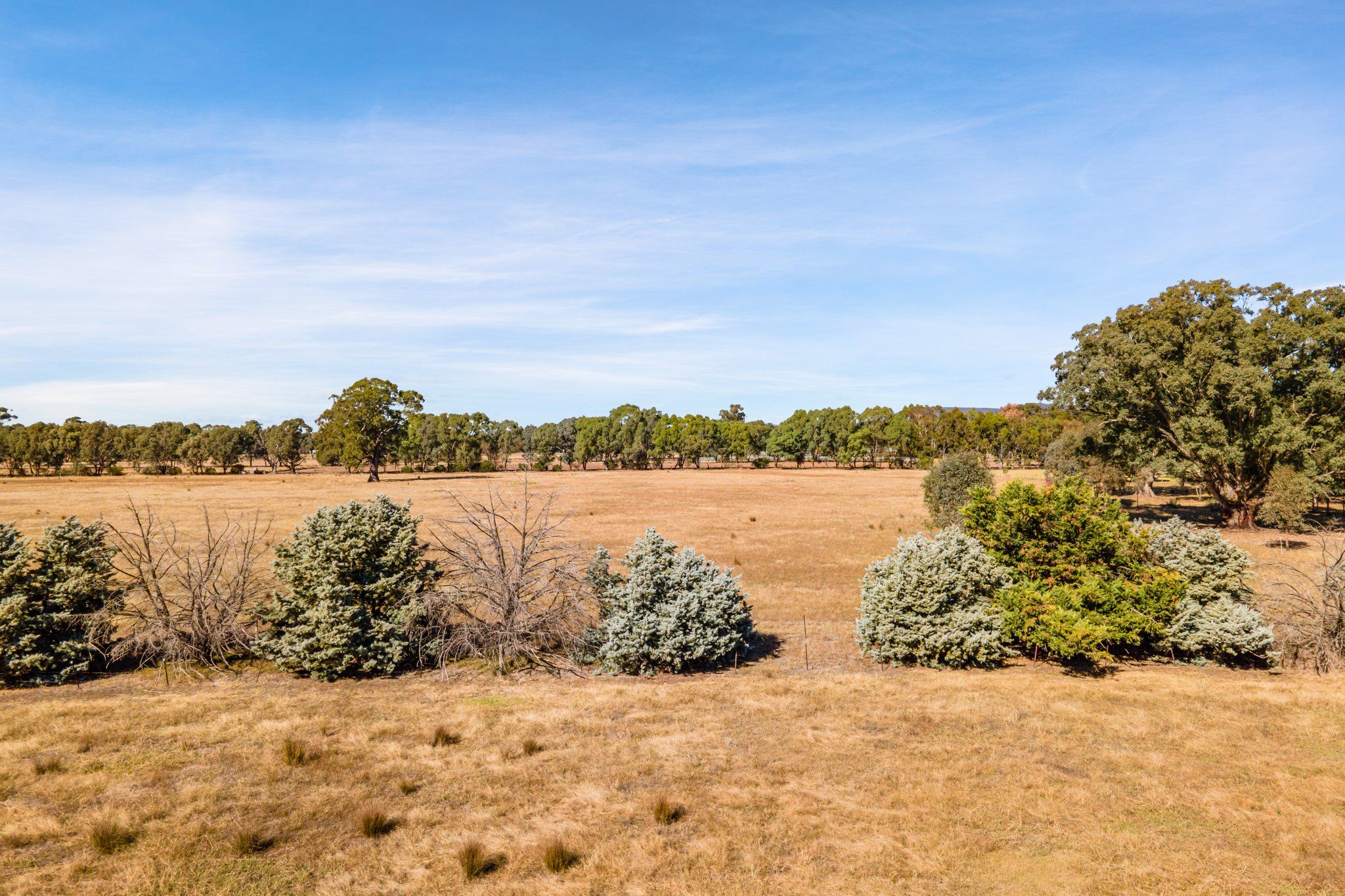 382 Reith Road, Wangaratta, VIC 3677 Land/Development for Sale