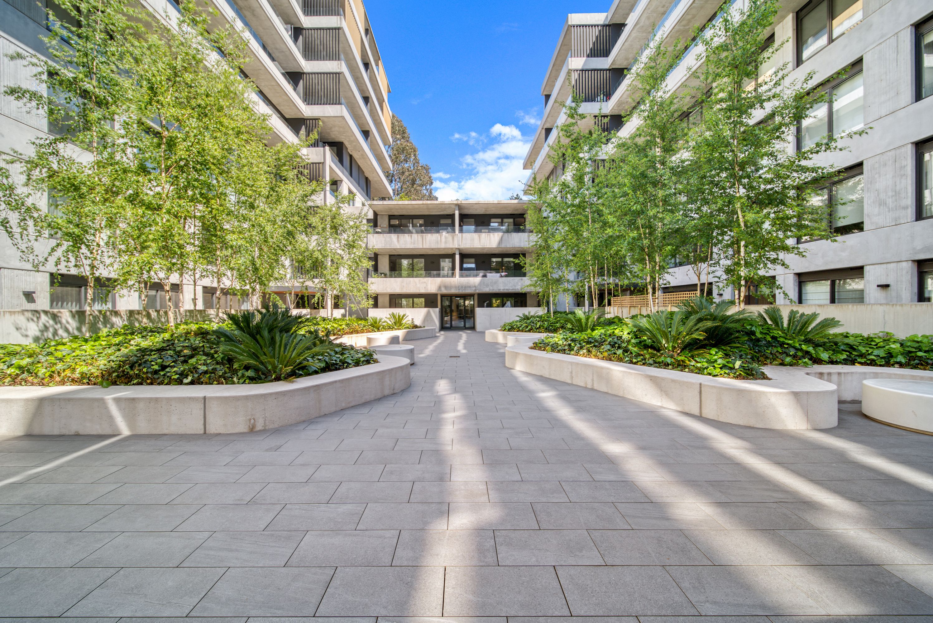 154/217 Northbourne Avenue, Turner, ACT 2612