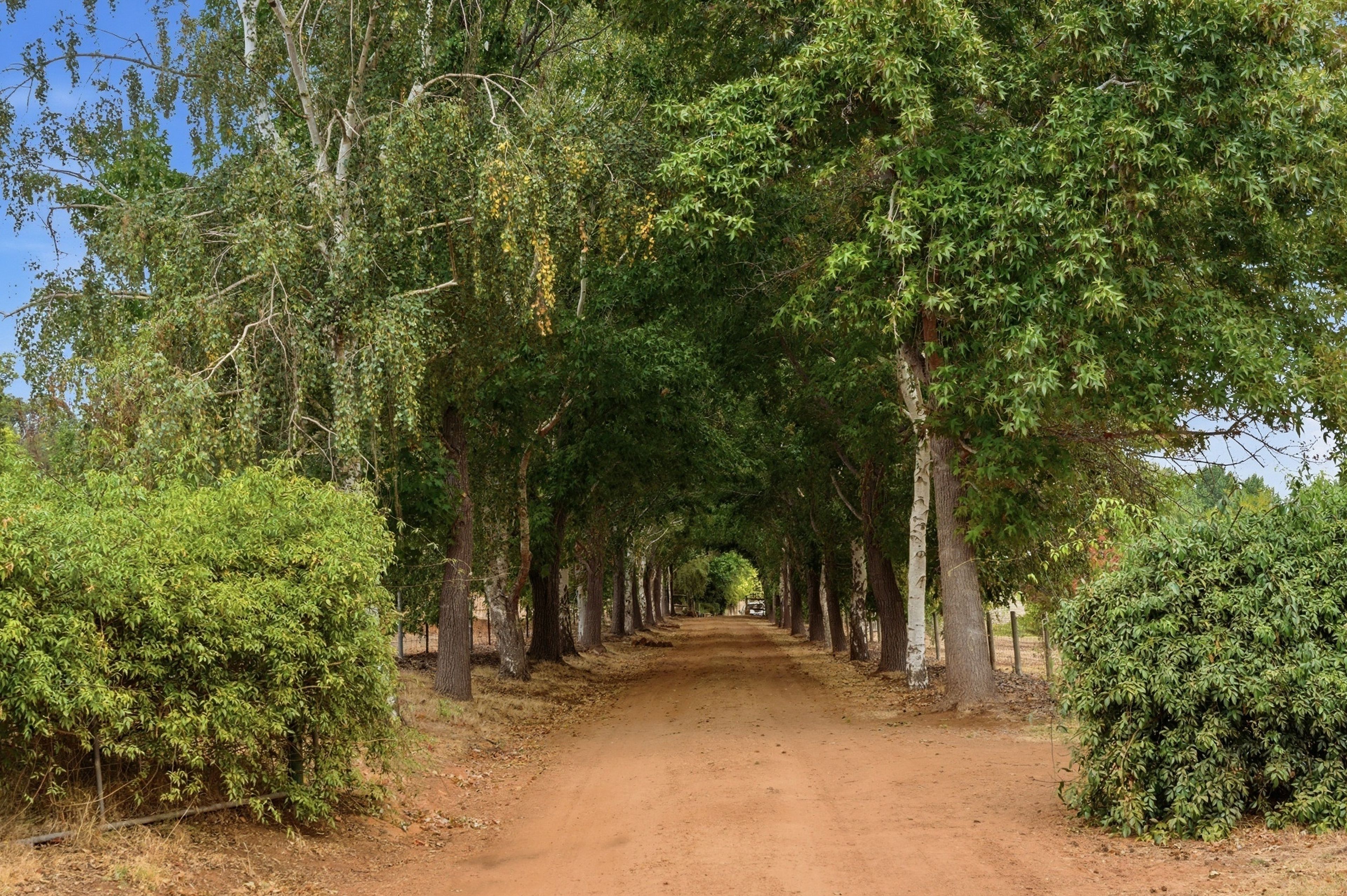 104 Grimwade Road, Balingup, WA 6253