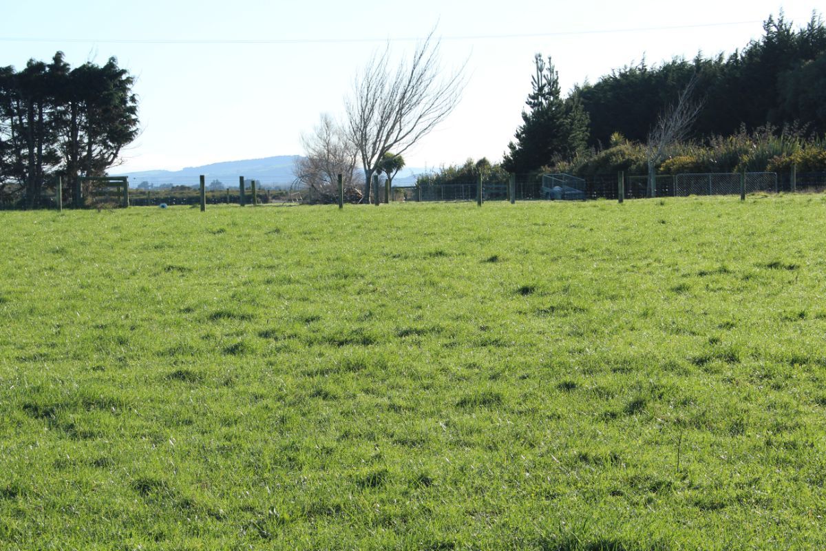 Lot 4 801 Mill Road North, Makarewa, Invercargill