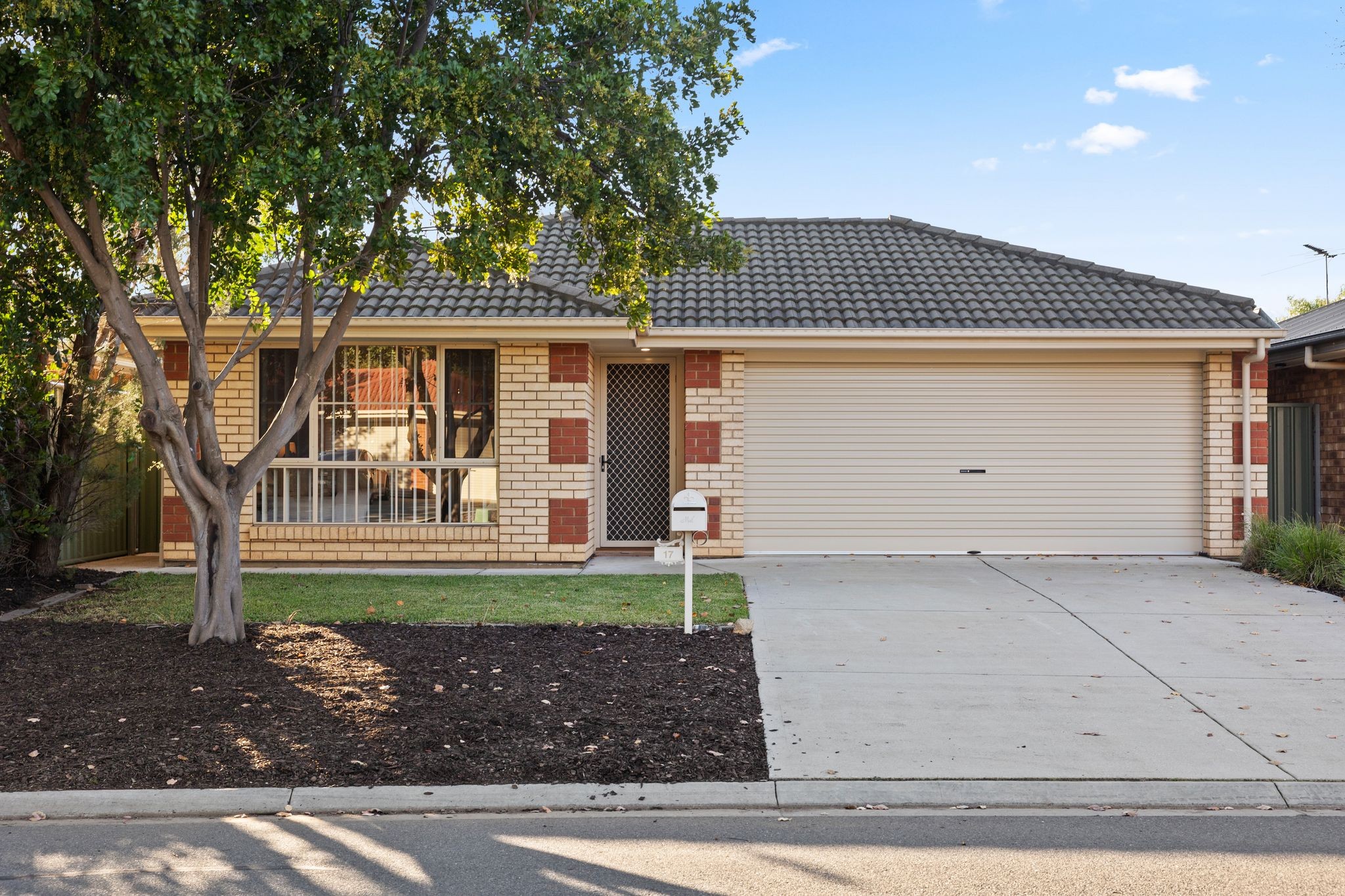 17 Buckley Street, Evanston Gardens, SA 5116