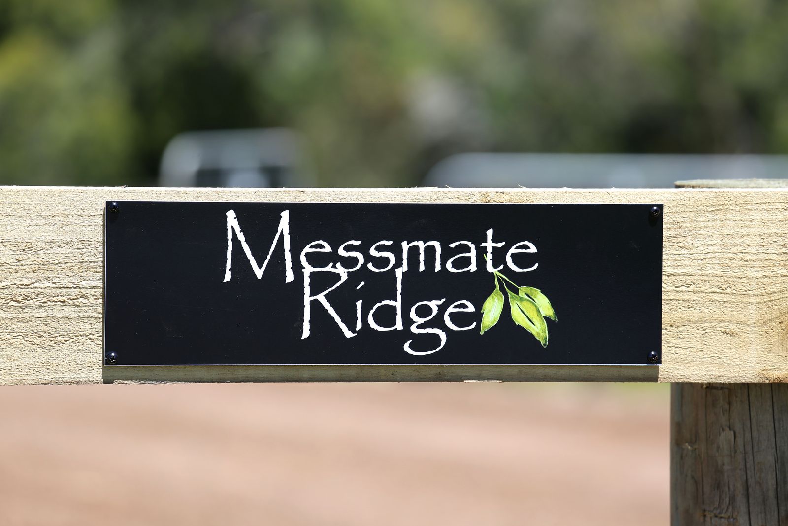 536 Melrose Road, Cooriemungle, VIC 3268