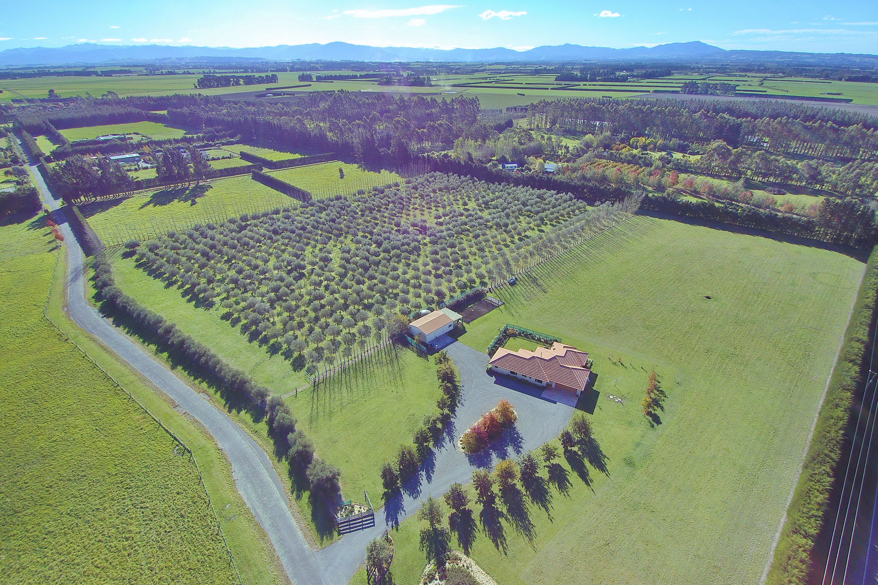1181 Two Chain Road, Swannanoa, Waimakariri District