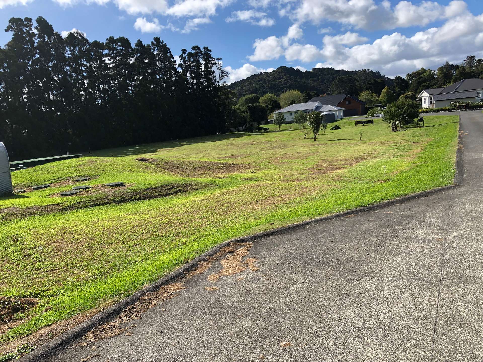 970 Kahikatea Flat Road photo 14