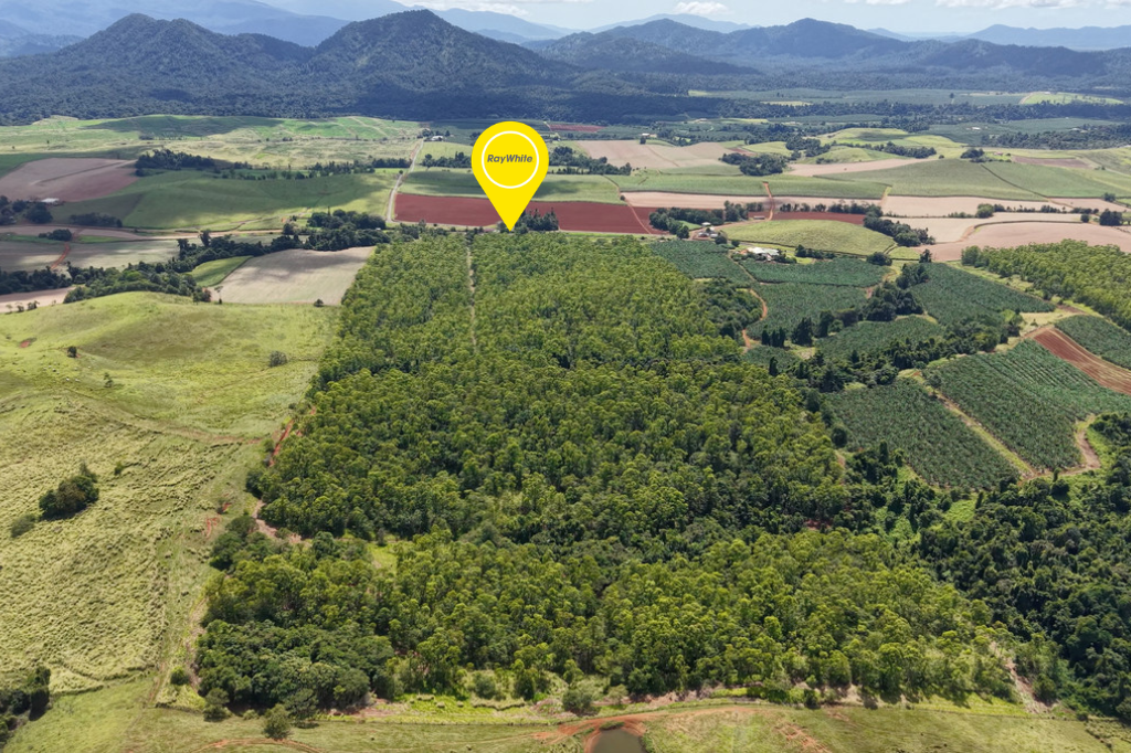 347 Nerada Road — photo from Ray White Innisfail