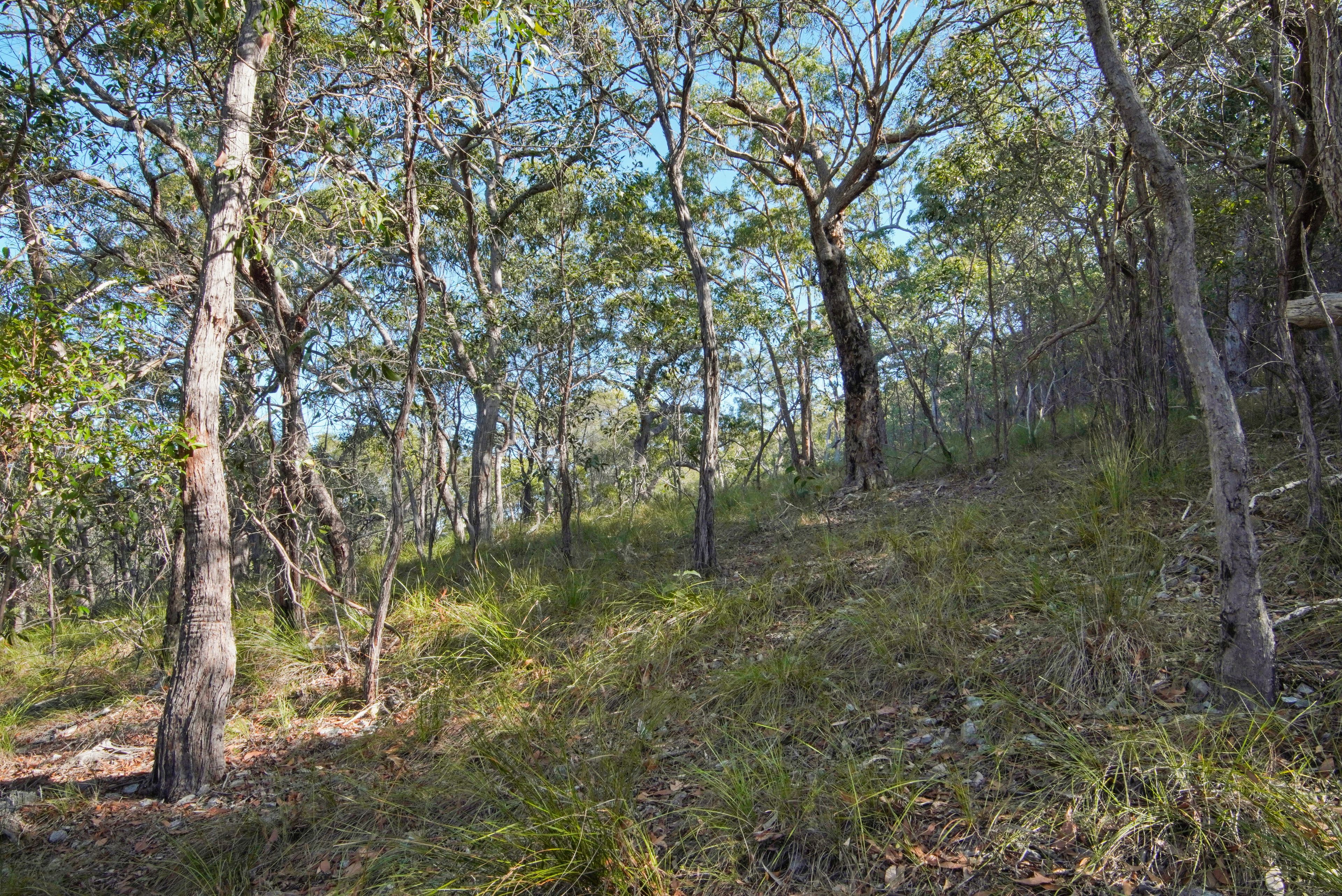 40 Jobson Road — photo 12 of 15