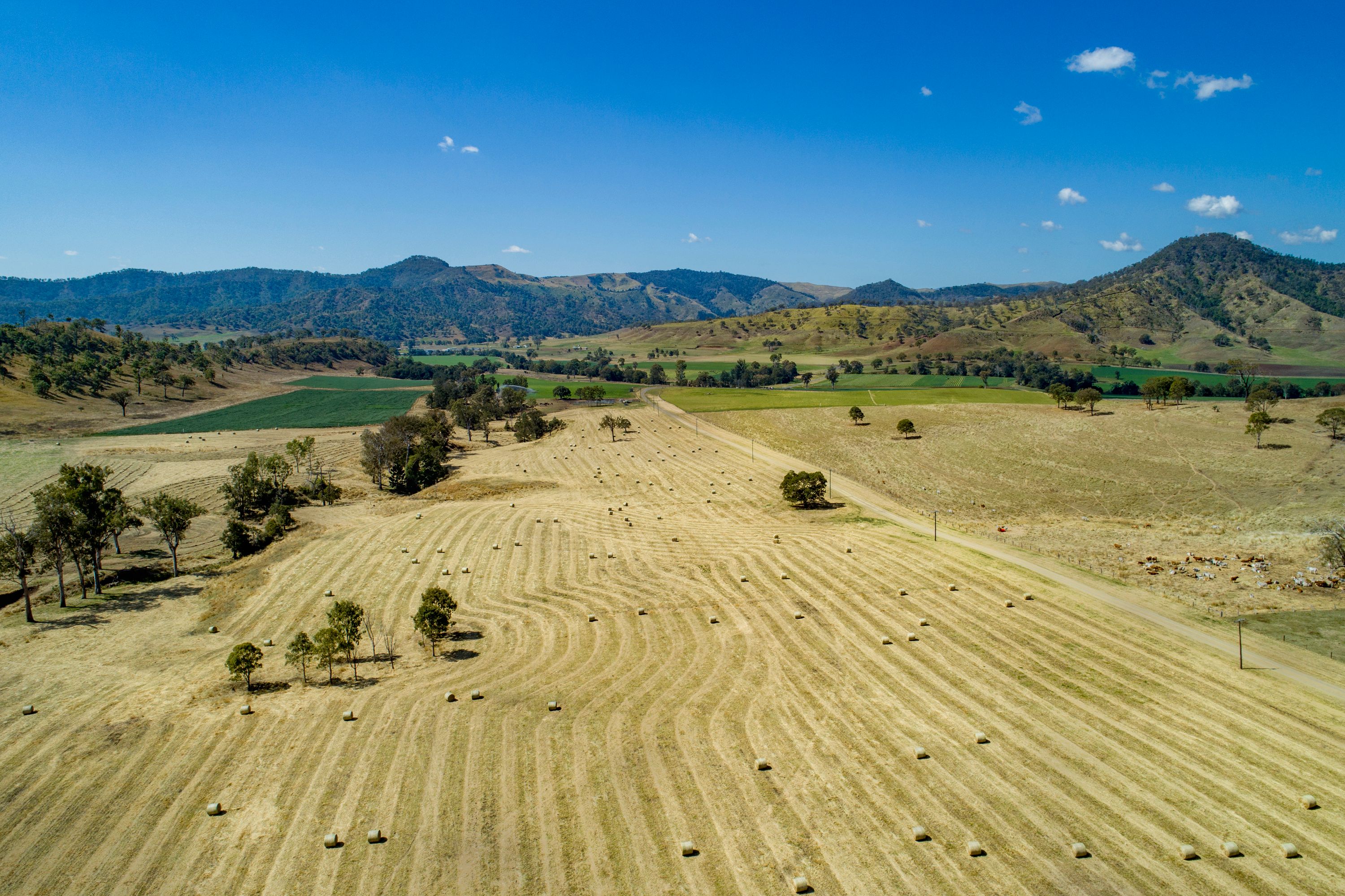 "Glenapp" 1179 Running Creek Road, Running Creek, QLD 4287 Sold