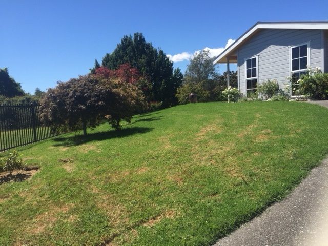 29 Horsley Grove, Pyes Pa, Tauranga City