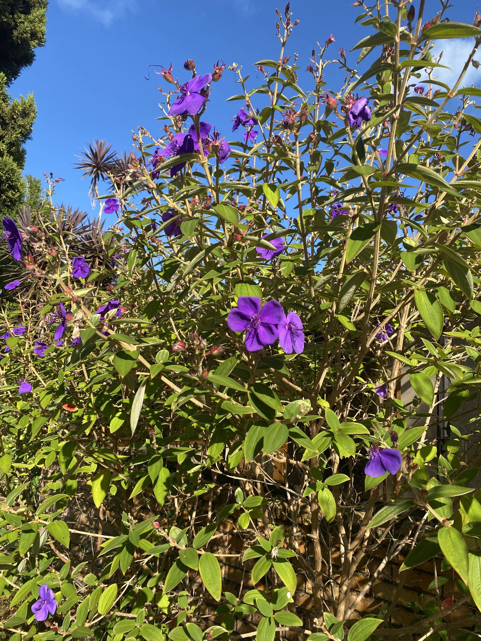 53 Chilcott Road, Henderson, Waitakere City