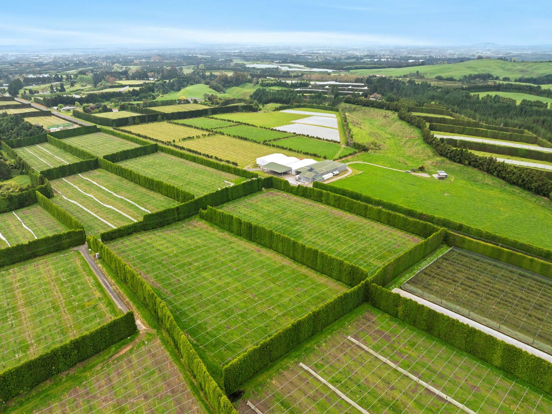 Lot 3/1010 Te Matai Road photo 10