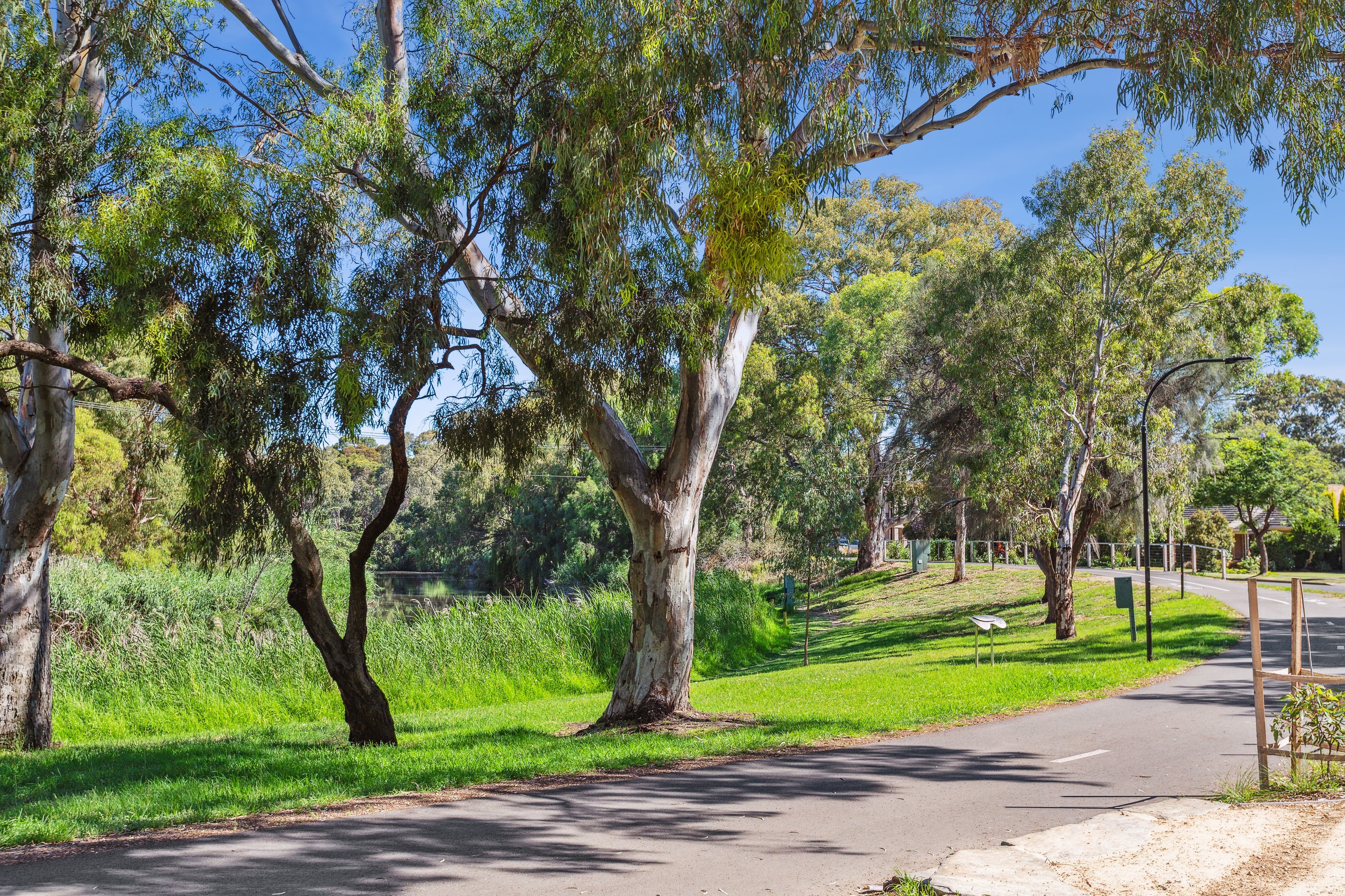 Lot 1 & 2 (Proposed) 41 Garden Terrace, Lockleys, SA 5032